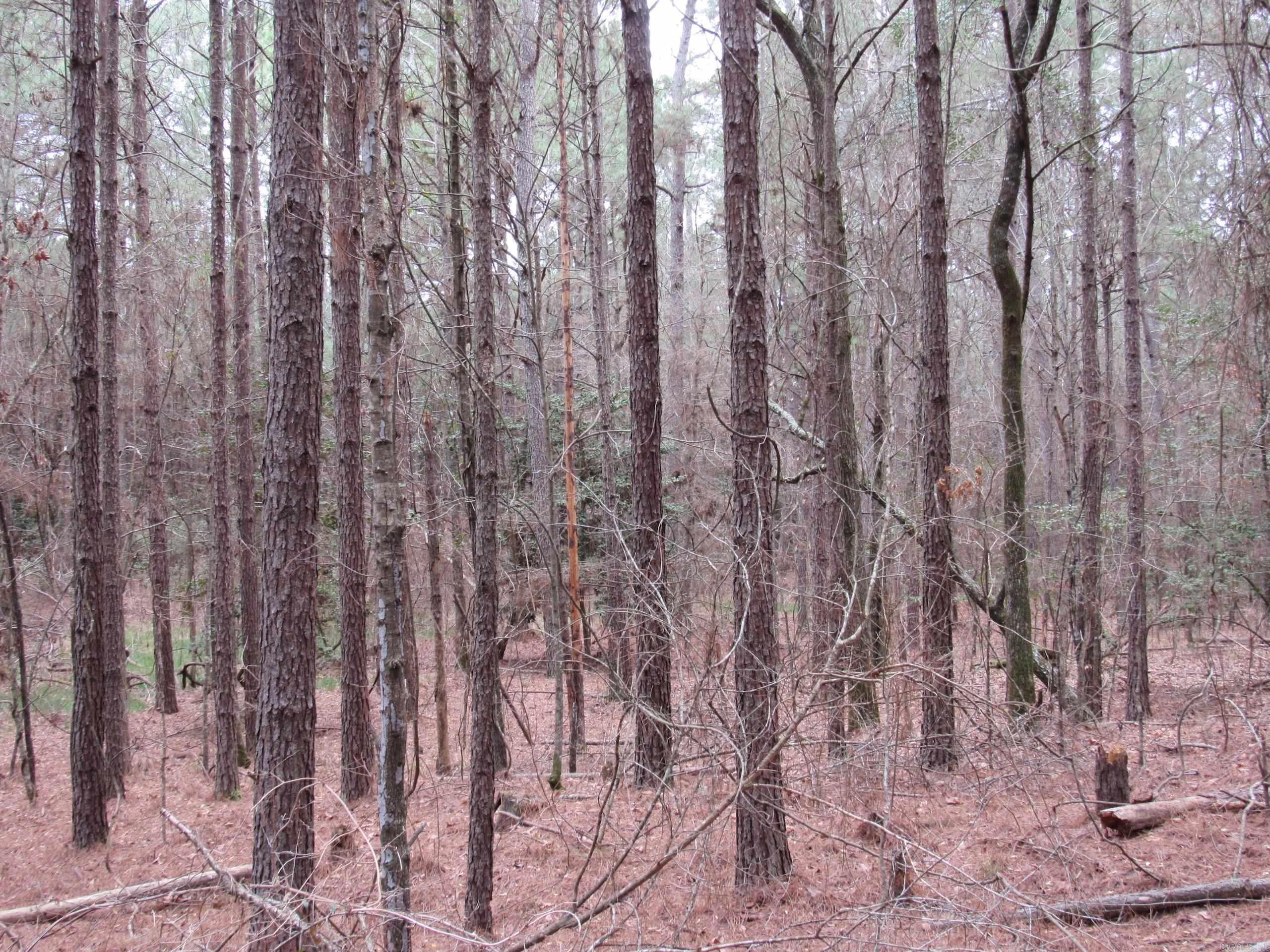 Not in Subdivision - Land