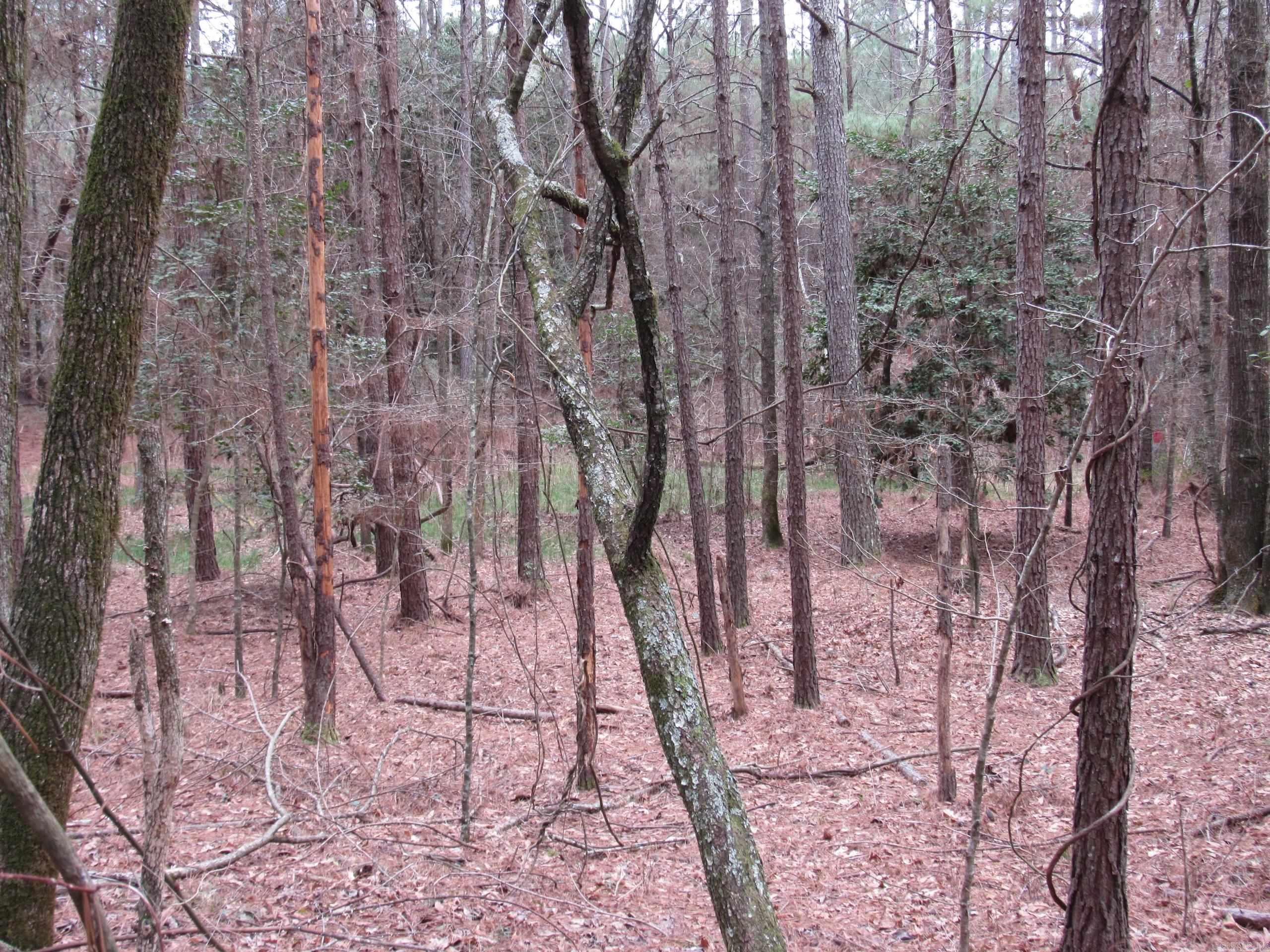 Not in Subdivision - Land