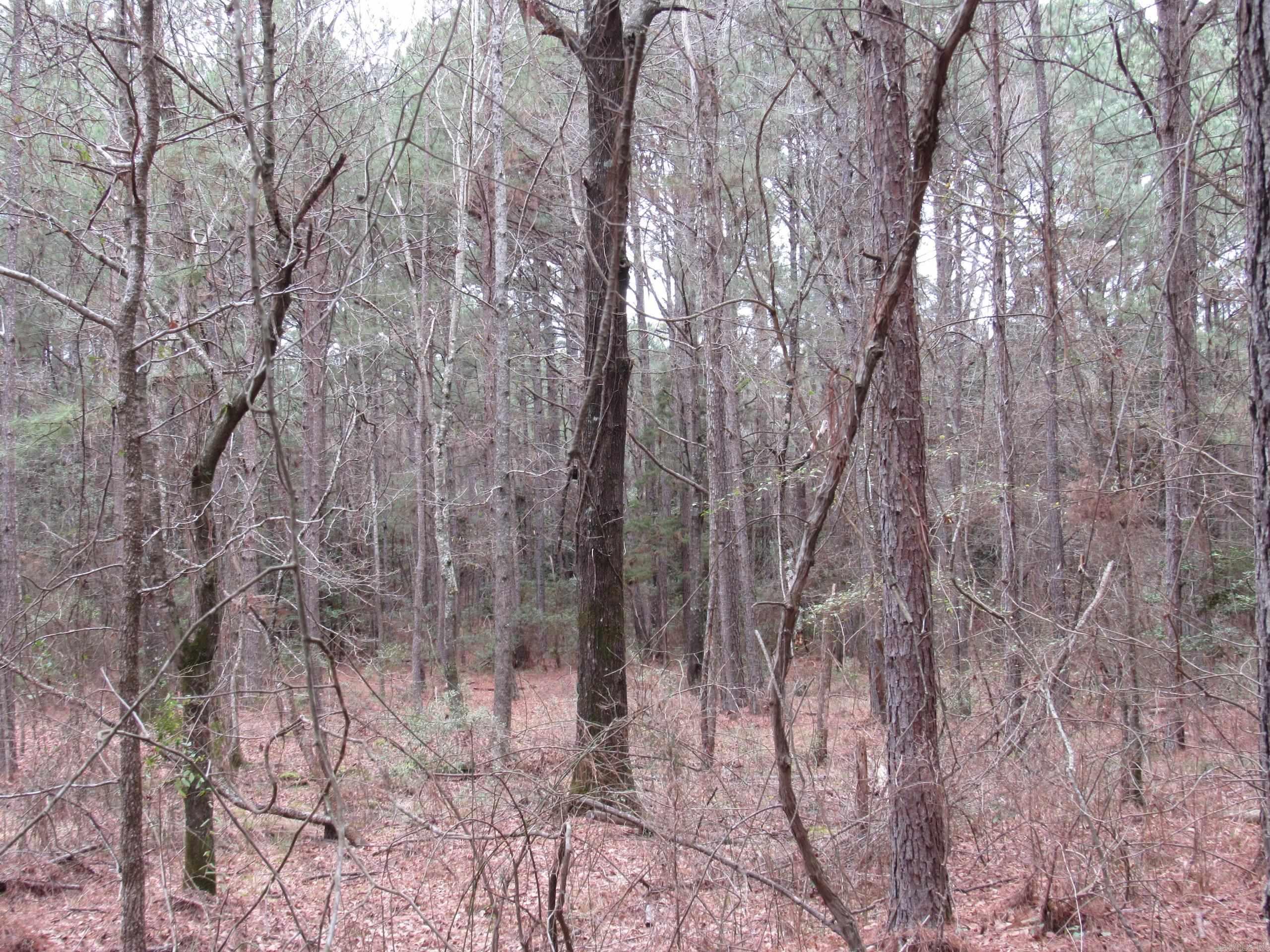 Not in Subdivision - Land