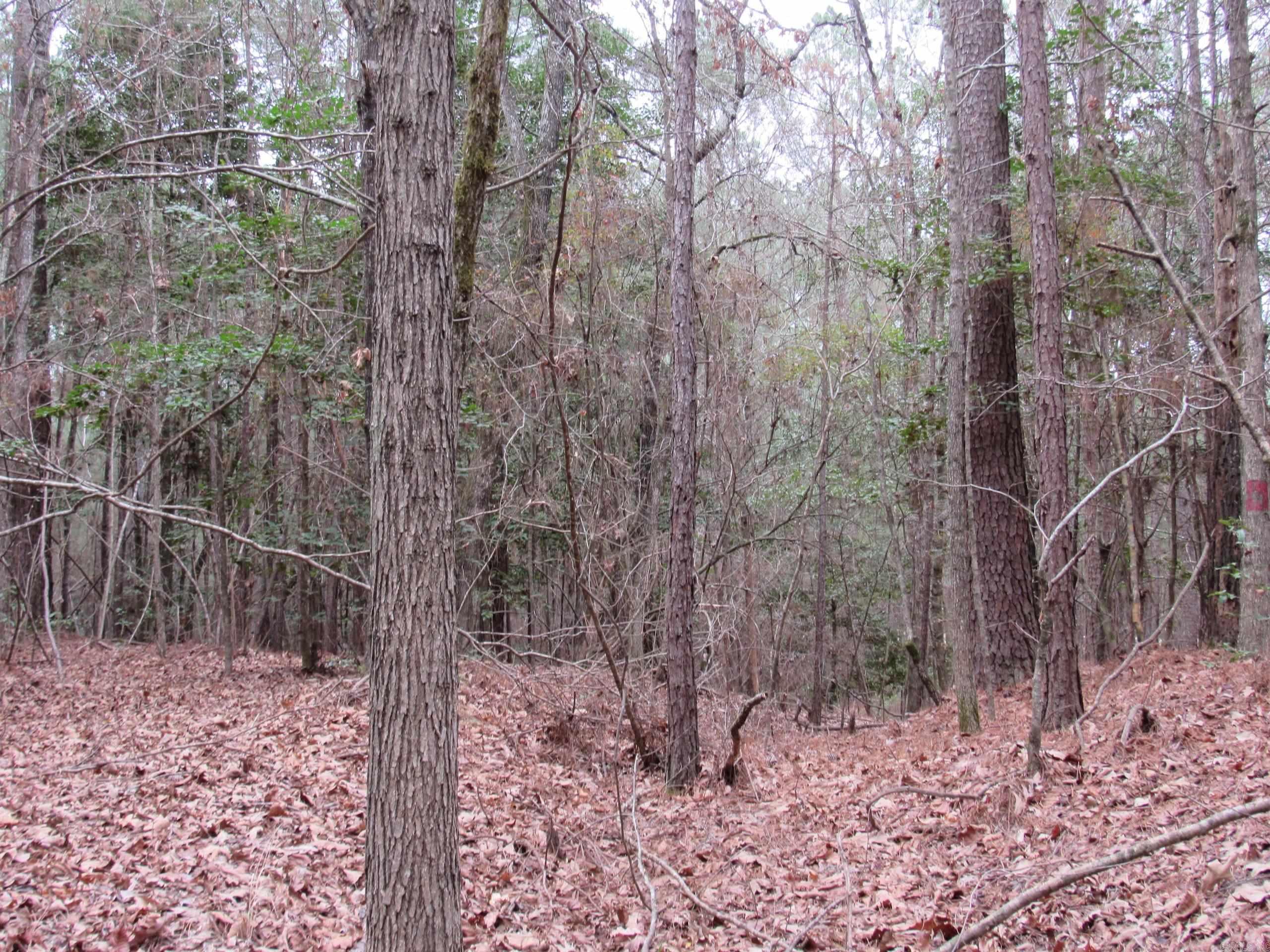 Not in Subdivision - Land