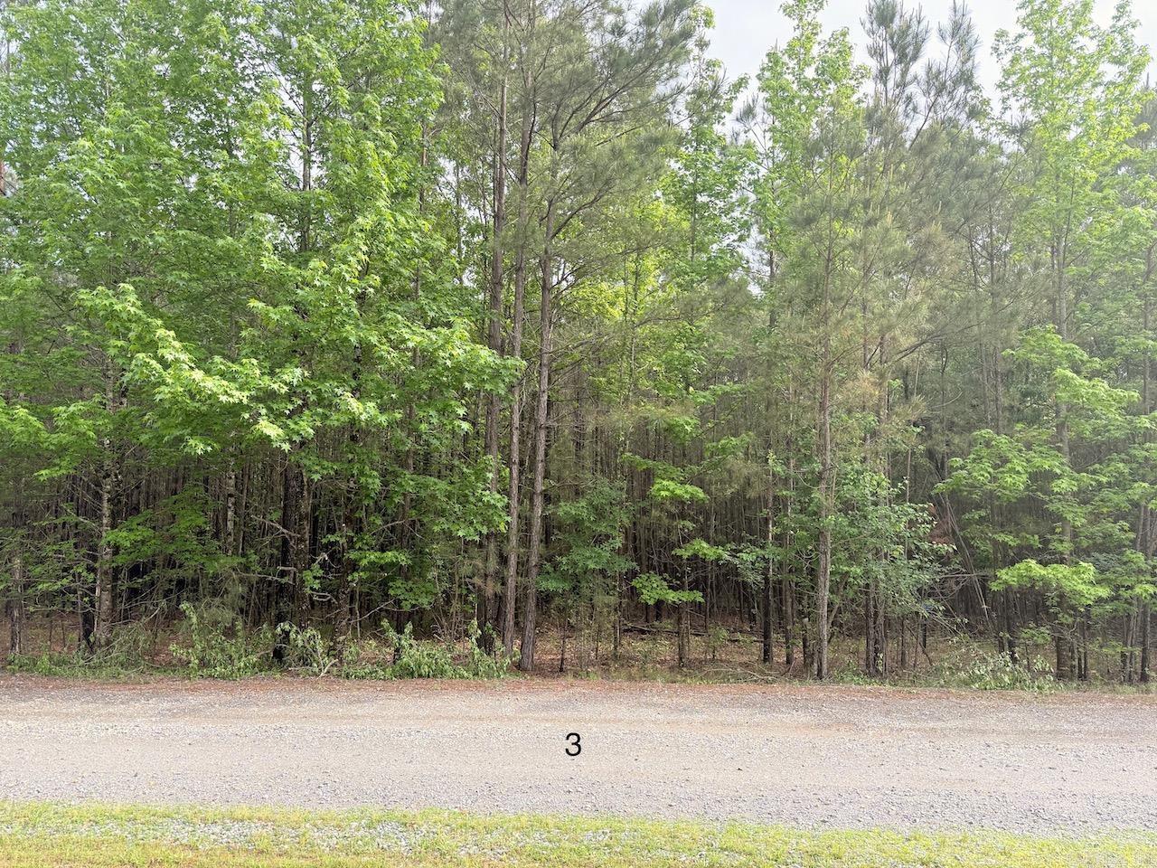 Discover the perfect spot to build your dream home in the desirable University Heights Subdivision! This 1.15-acre lot of phase 2 offers a serene, tree-lined setting in a quiet neighborhood, just minutes from the University of Arkansas at Monticello, local schools, hospitals, and shopping. With utilities readily available and a prime location, this lot is ideal for families, professionals, or investors. Priced to sell—don’t miss this opportunity to create your custom oasis in the heart of Monticello! Contact us today for details.