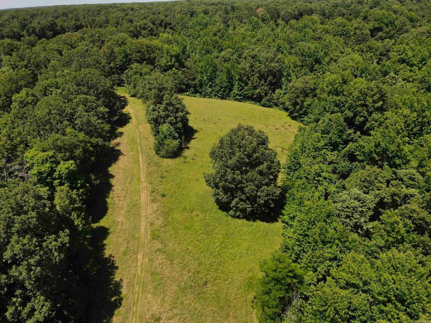This property sets near the st Francis national Forrest woods in lee county AR with crop fields nearby and a trail system in place and an improved entry road coming soon. This is as fine as it gets in east Arkansas with large ridges and wooded rolling hills, small pastures, food plots sites, acorn trees and cover for wildlife on every aspect. the property just has a feel that any minute you could harvest the largest whitetail you've ever seen! this is a great property in the best possible area. if you are looking for something near lee county with access to the national Forrest then this is a must see. the property has a pond with several stand sites and gates installed. And a rv or camping area less than a mile from property with utilities available on site.
