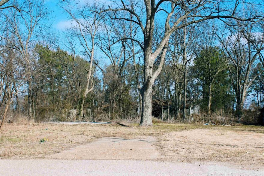 Welcome to 605 Hannah Rd in Luxora, AR. This vacant lot is 0.53 +/- acres. The lot has access to all utilities, and a preexisting concrete slab from a previous home that was torn down years ago. It also has a concrete driveway at the front of the property, and established trees surrounding the property. If you are looking for a place to put a mobile home, camper, or to build, this is it!