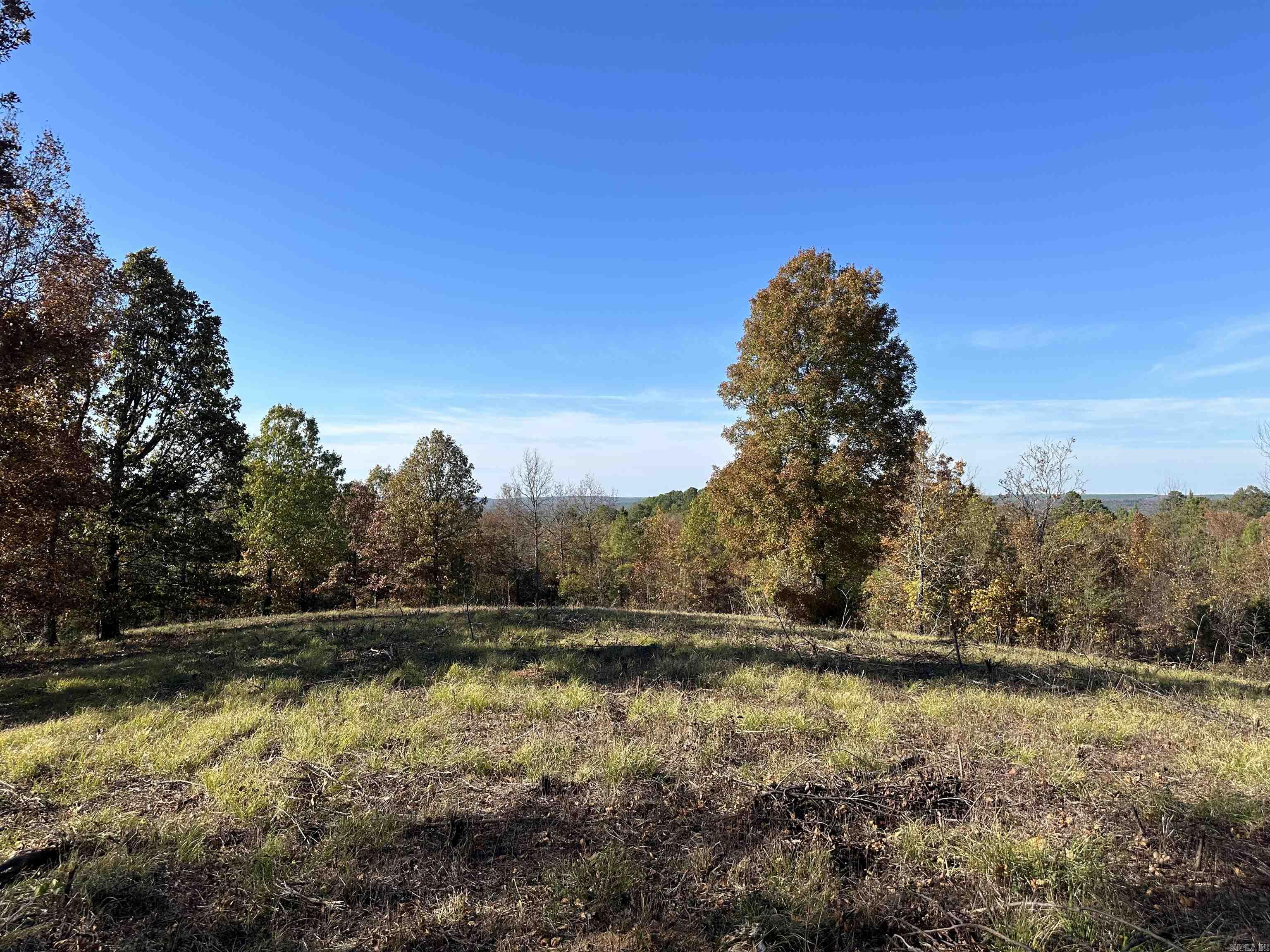 Bigelow City Acreage - Land