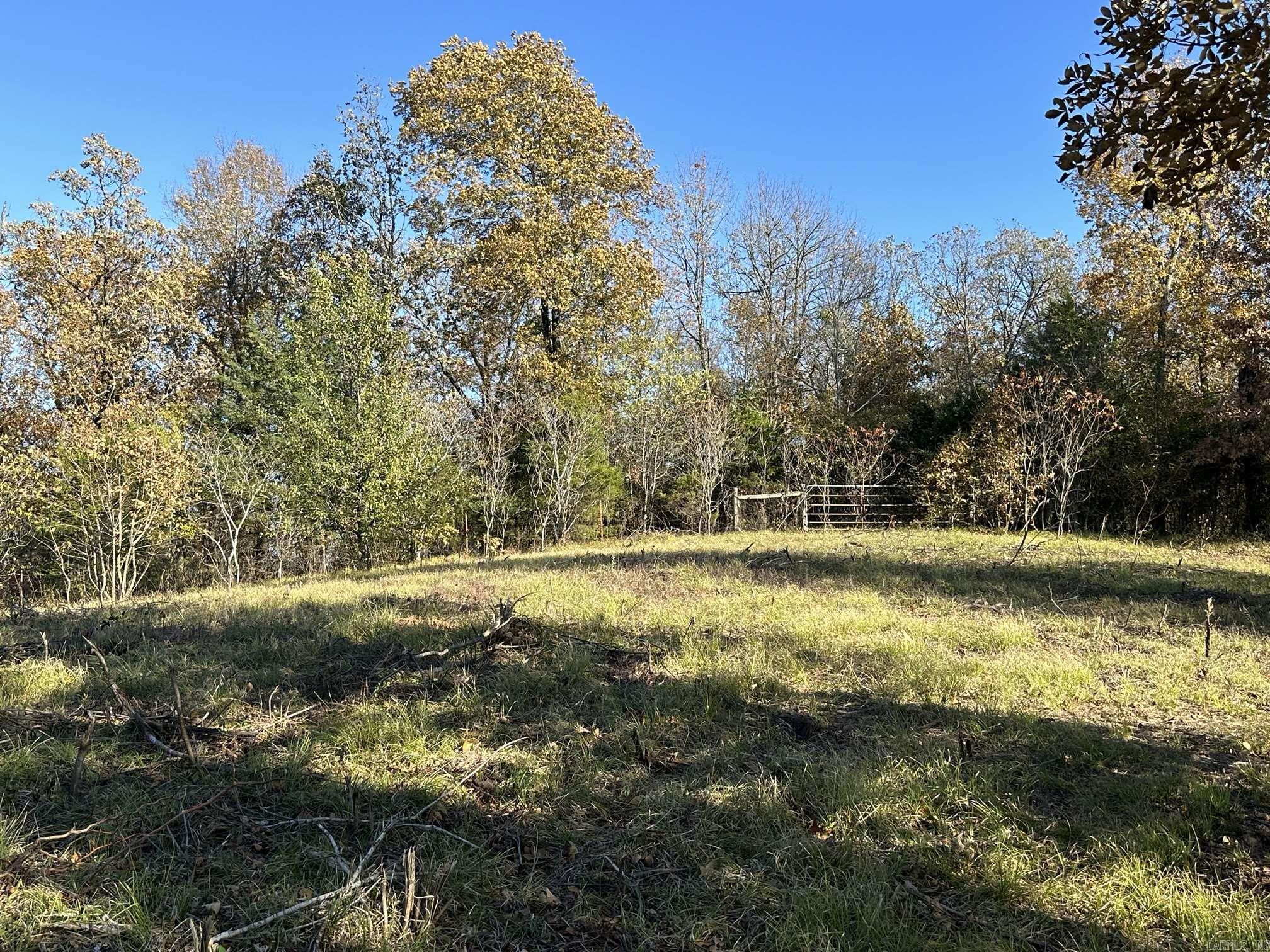 Bigelow City Acreage - Land