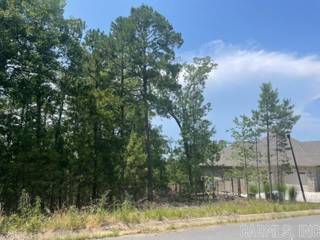Welcome friends and family into your new custom home at 174 Majestic Circle. This lot lives up to its name with majestic views all around! Just under a 1/2 acre, this combined double lot is ready for you to build the home of your dreams! Perfect for a walk-out basement, pool, and outdoor entertaining with breath taking views!! The wonderful community of Maumelle offers so much for you to enjoy with over 30 miles of walking trails, Lake Willastein Park and fishing on the lake. Community center with wonderful pool and work out center. New state of the art Senior center, library, shopping, private and public country clubs with wonderful golf courses and bike trails! Live your best life here surrounded by nature, beauty, and the peace of a small community, yet centrally located to the larger city areas for work and play.