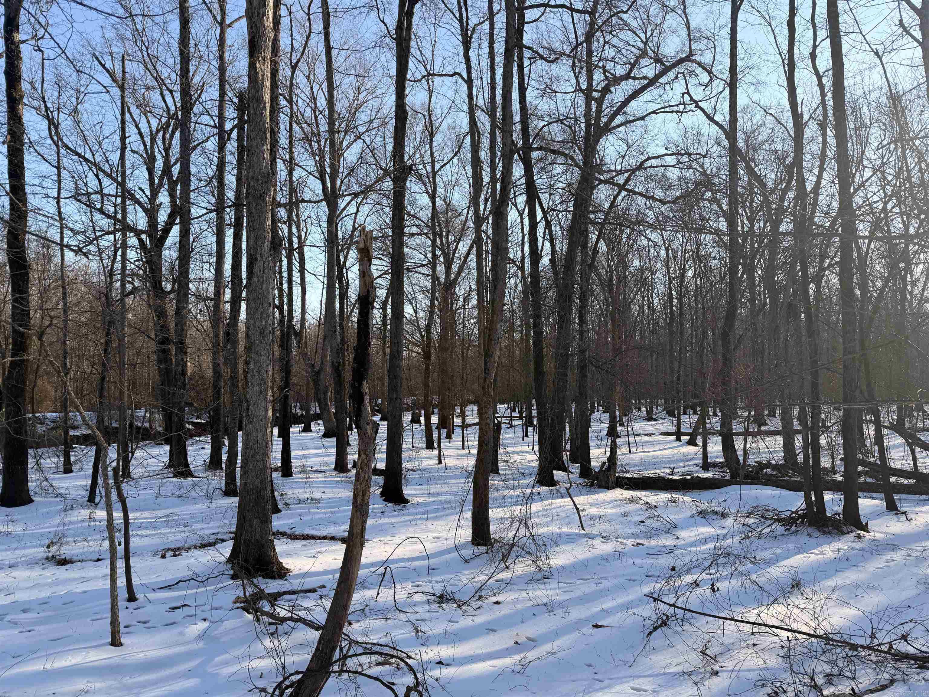 Metes & Bounds - Land