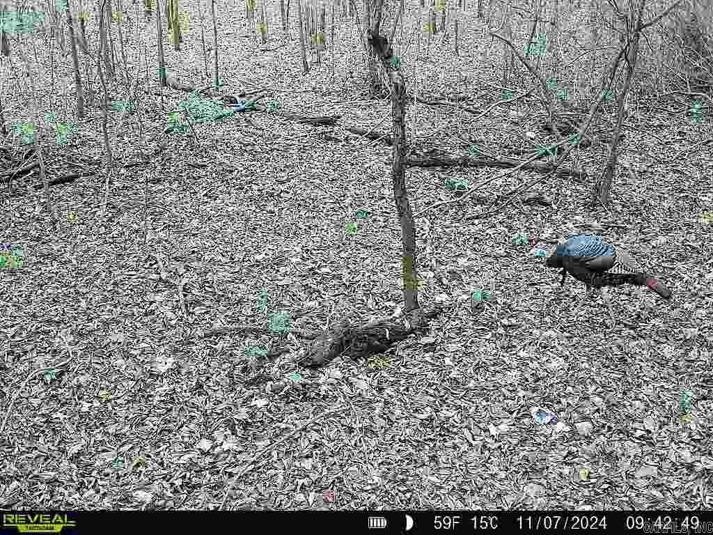 Metes & Bounds - Land