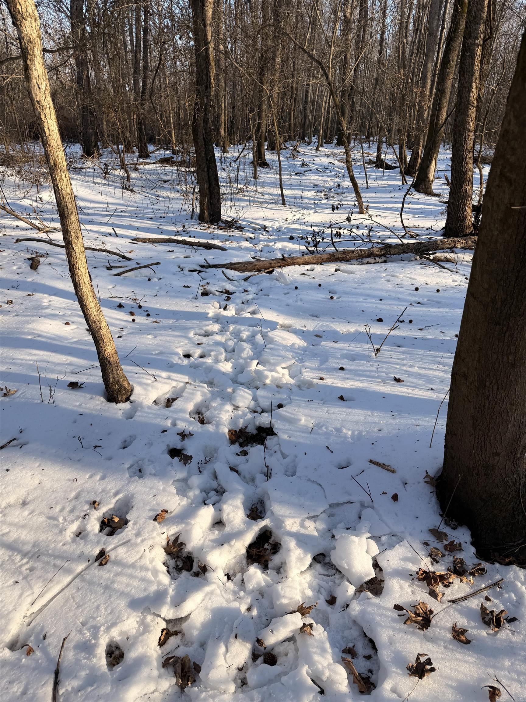 Metes & Bounds - Land