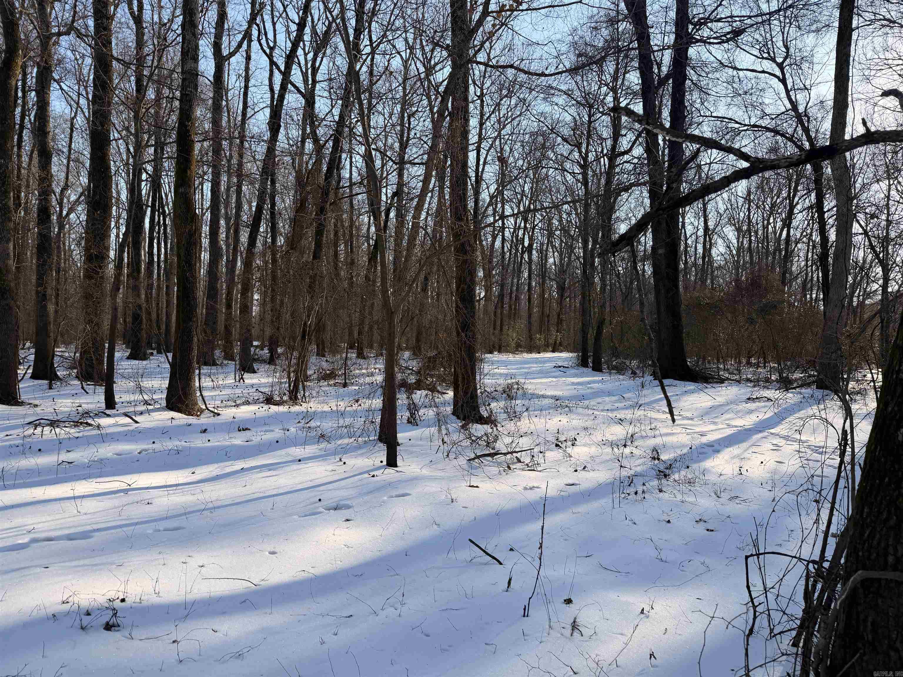 Metes & Bounds - Land