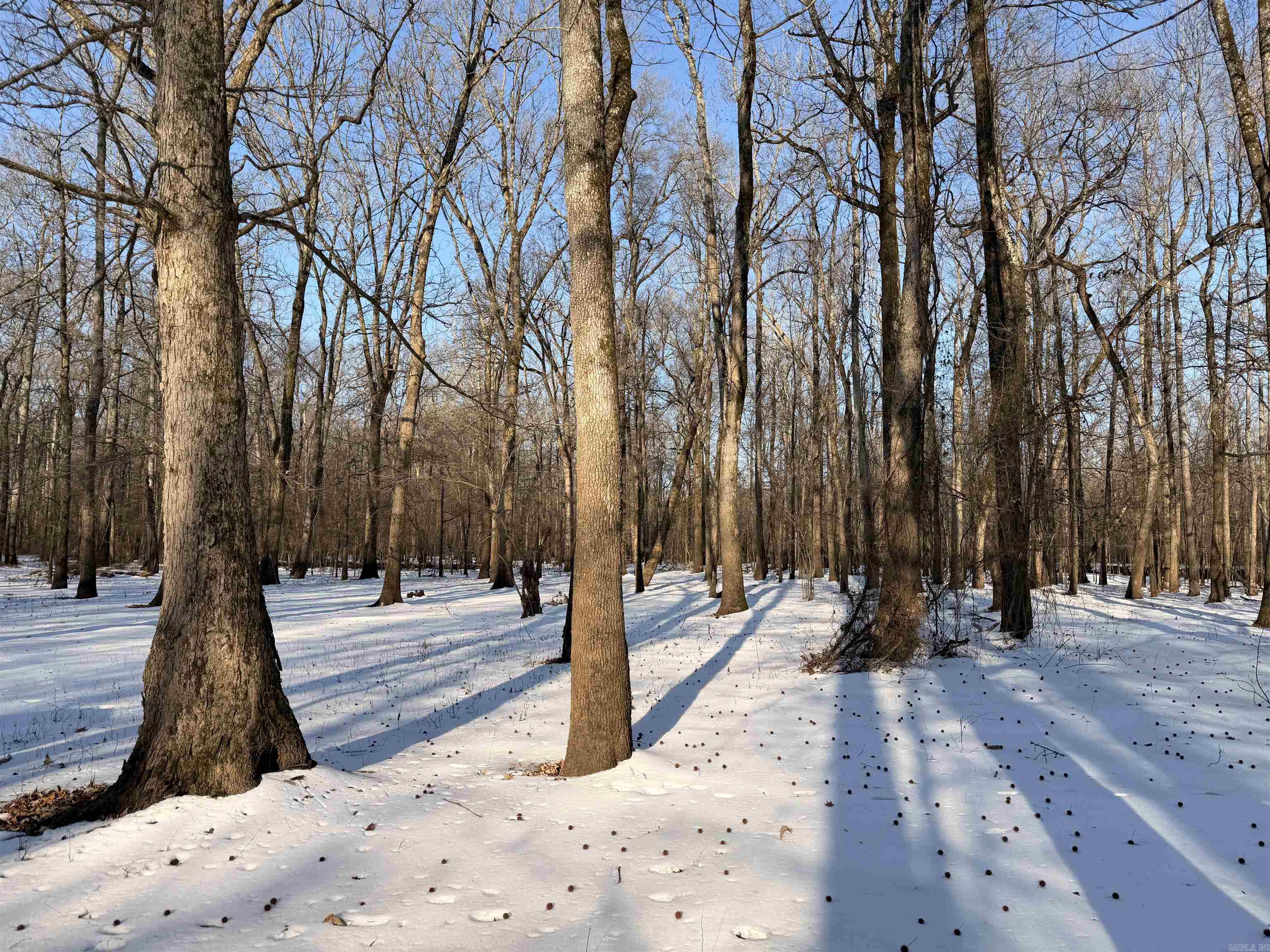 Metes & Bounds - Land