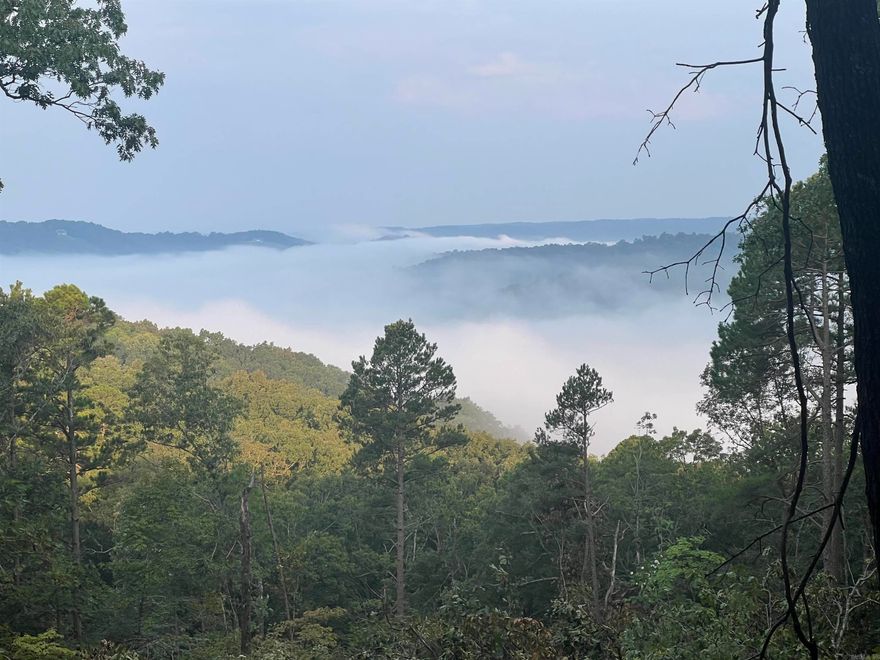 Take a look at this beautiful piece of property located just minutes from the White River boat ramp at Round bottom with stunning views of the surrounding area. This property can be used for many things including a home with a view, a prime piece of hunting property with a cabin, or keep it for an investment. This is really a great piece that you need to see for yourself. Call today and lets go take a look!