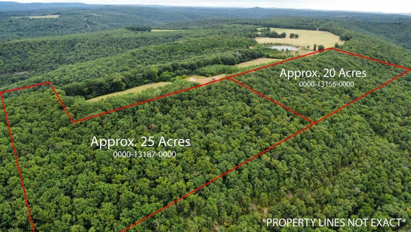 176 REX RD, CLINTON, AR 72031 - Image 0cd68d9a2b0429344859a3fec934de28/2776193972