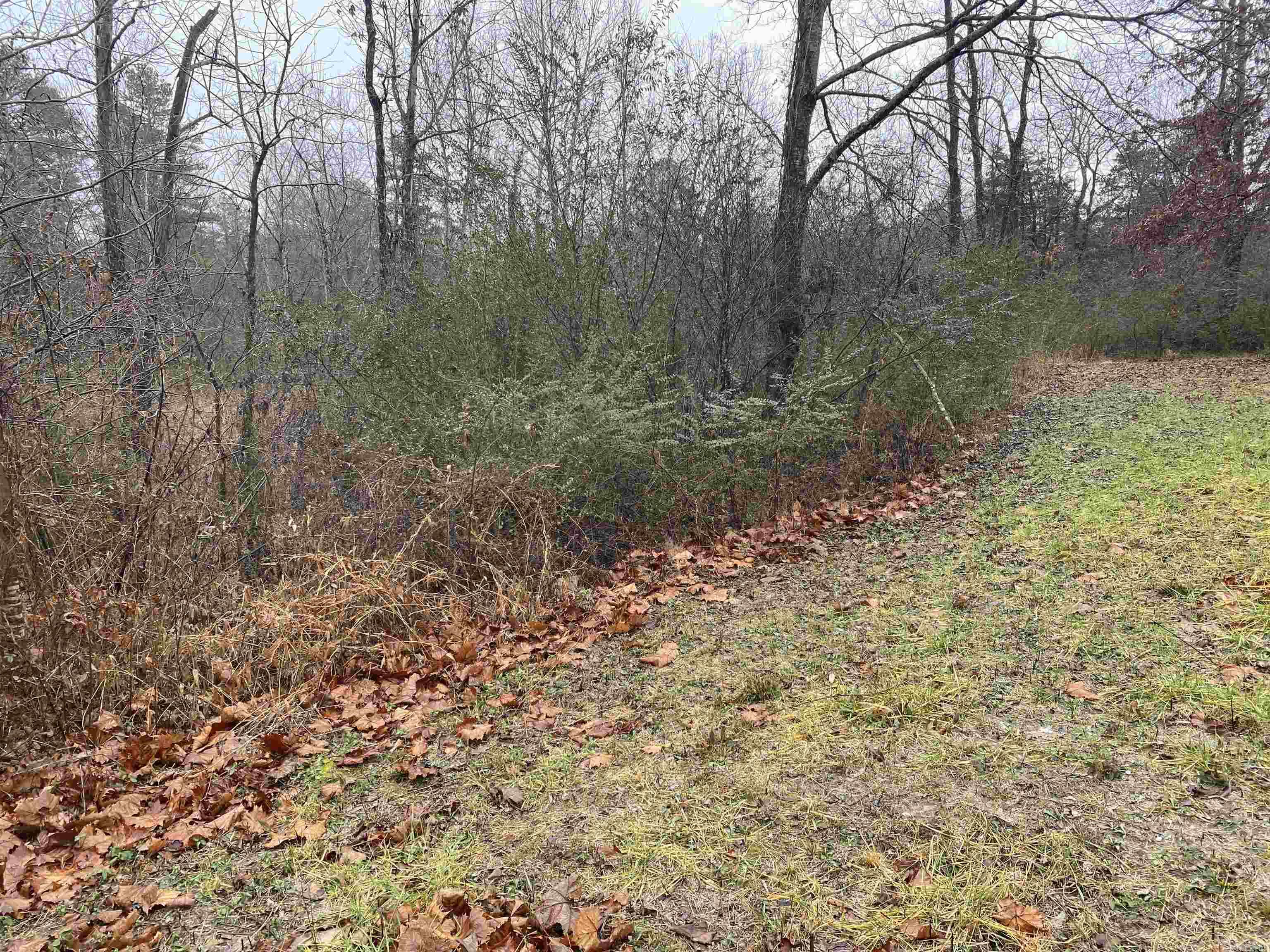 DEER RUN - Residential