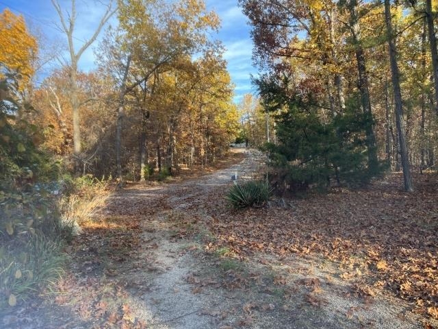 Thunderbird First - Residential