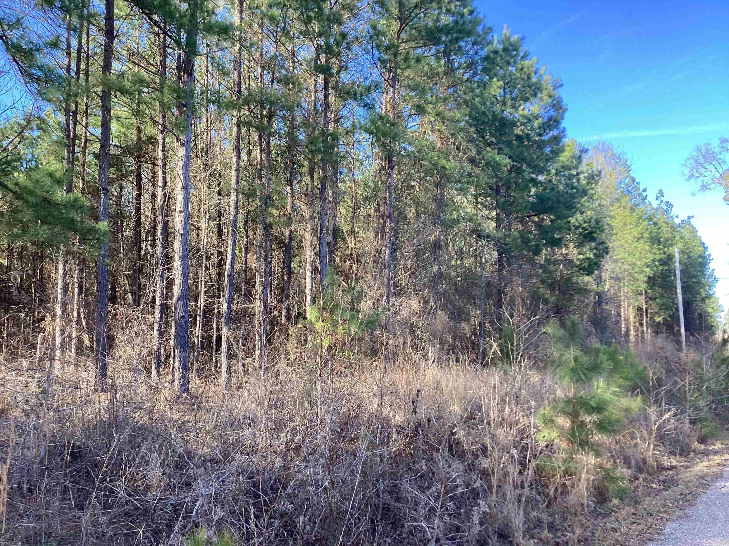 This 40-acre property has a thriving stand of 22-year-old plantation pines, offering a fantastic investment opportunity with potential for future timber harvest. The pines provide a lush, serene backdrop, making this parcel not only an excellent investment but also a beautiful and tranquil setting for building your dream home.