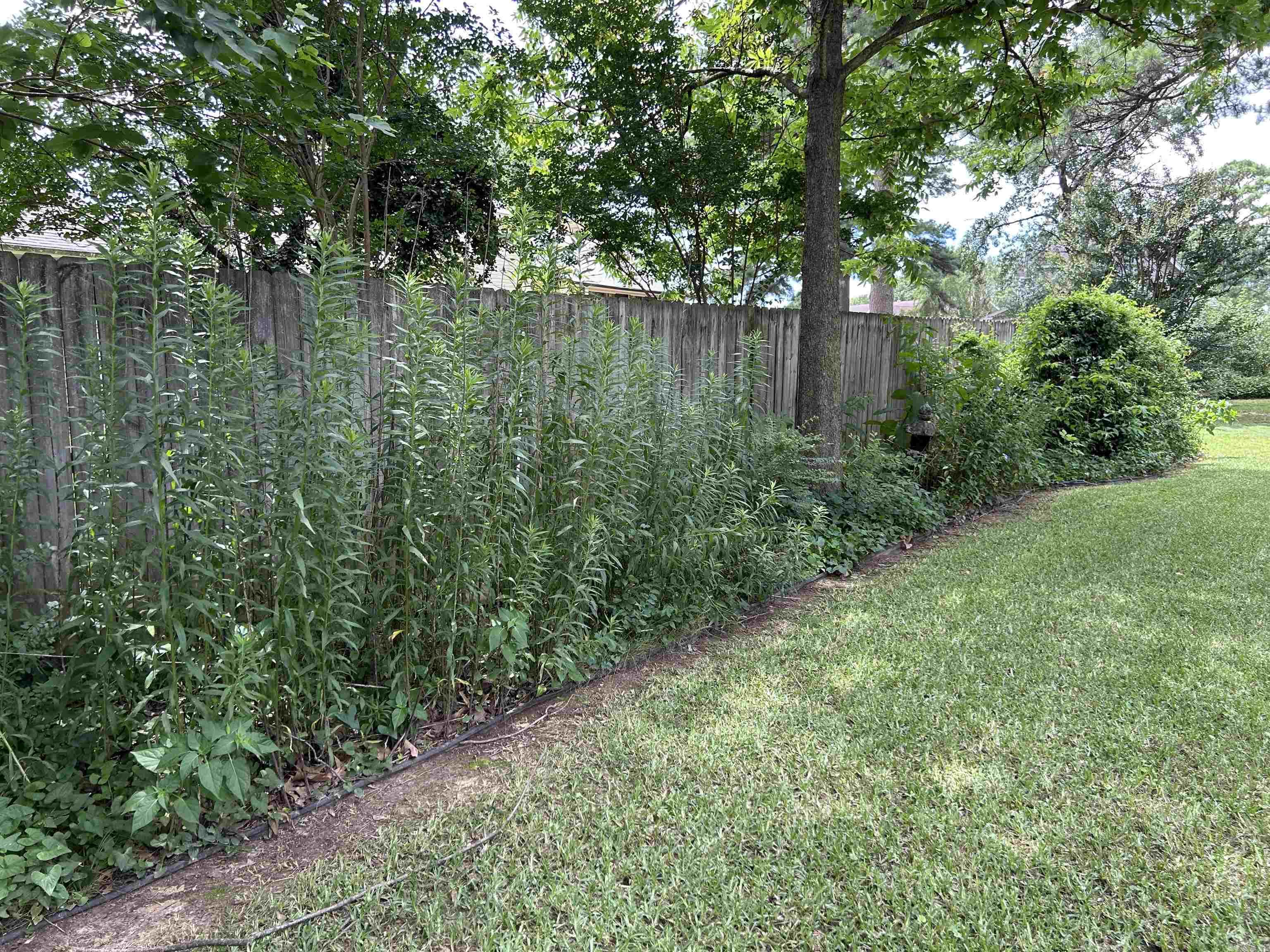 STONEWALL - Residential