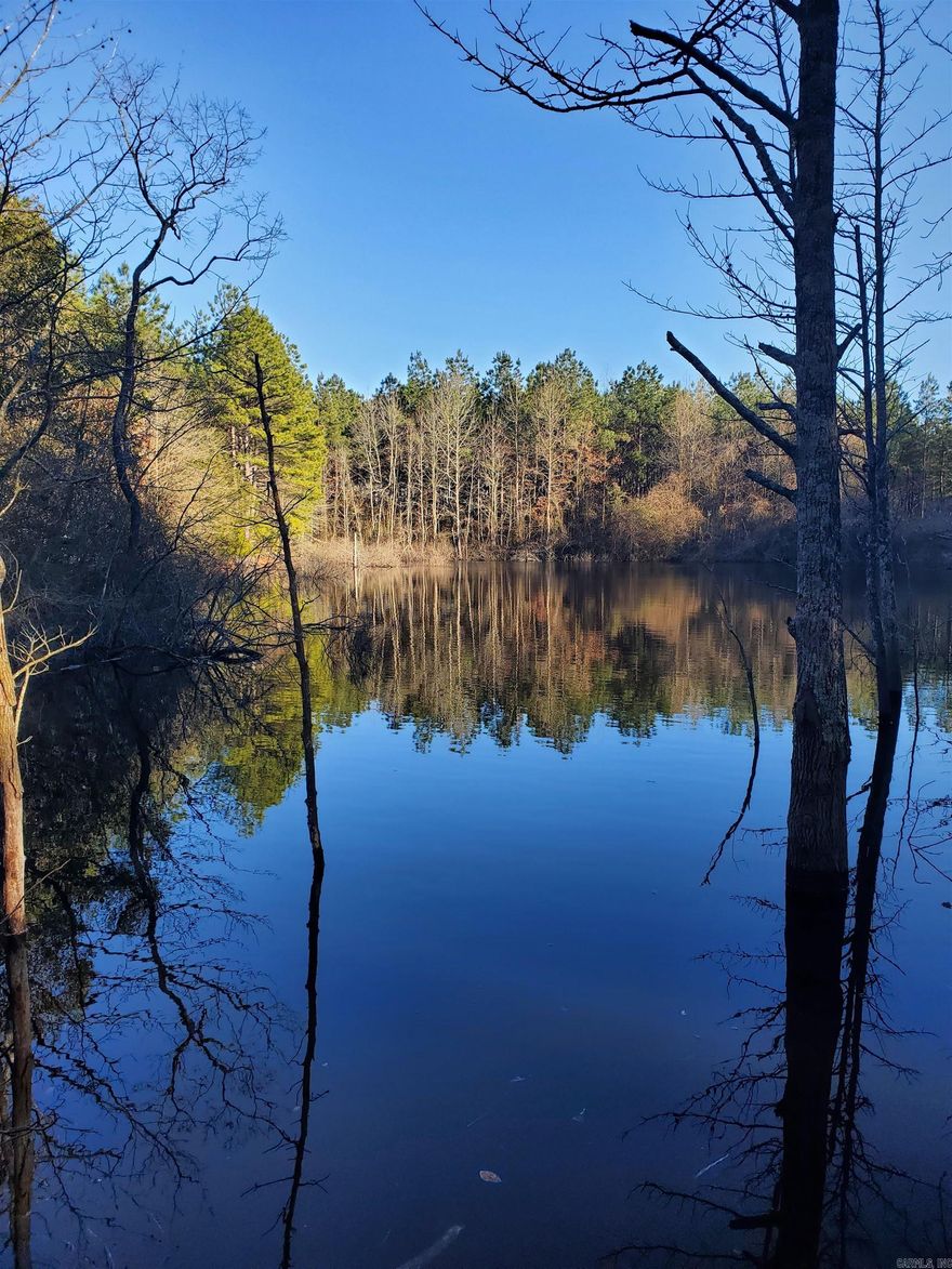 A POLK COUNTY RETREAT that only requires one item - YOU.  14.44 acres of pine timbered land in southern Polk County, Arkansas.  Covered mostly with mature pine timber which is almost 20 years old....watch it grow and make you money.  Or build a cabin with your own logs.  There are great cabin sites, some overlooking water.  There is a beautiful pond of about one acre in size, for fishing or playing or drinking for livestock. 1/4 mile off a paved road so  you can ride into the National Forest about 5 miles away.  Great dirt for homesteading too.  For you rockhounds, some quartz too.  3 sides fenced.  Partial owner financing may be possible.  Seller will retain 1/2 of any mineral rights owned.  No restrictions.   Also listed as a part of MLS # 25006800 containing 28.9 acres. .