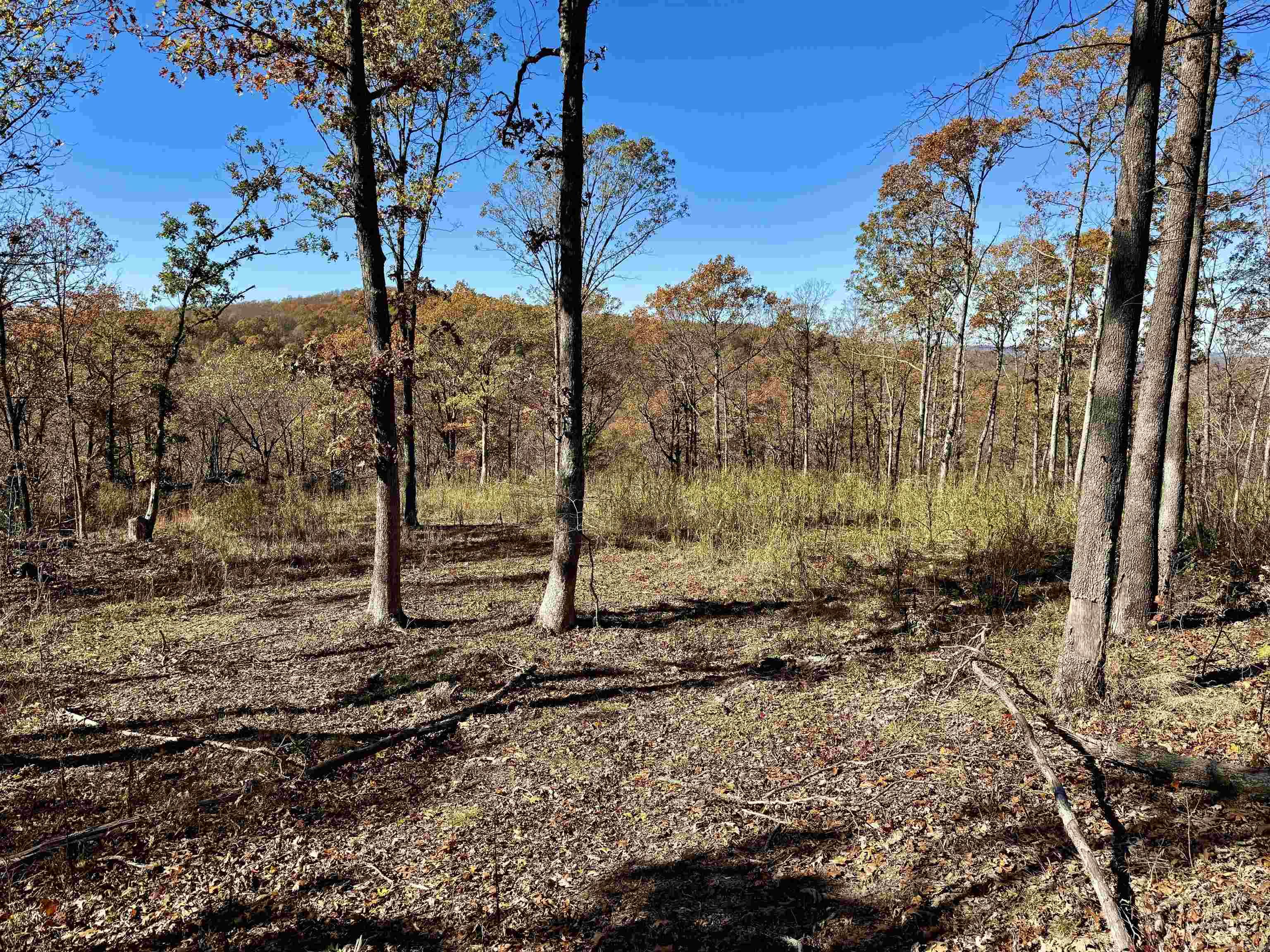 Metes & Bounds - Farm