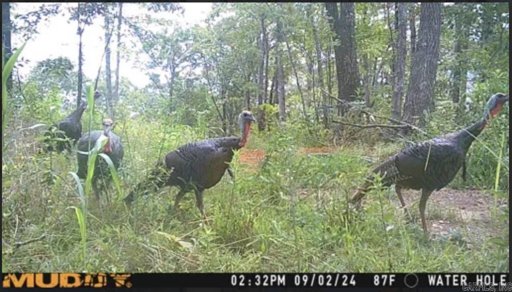 Metes & Bounds - Farm