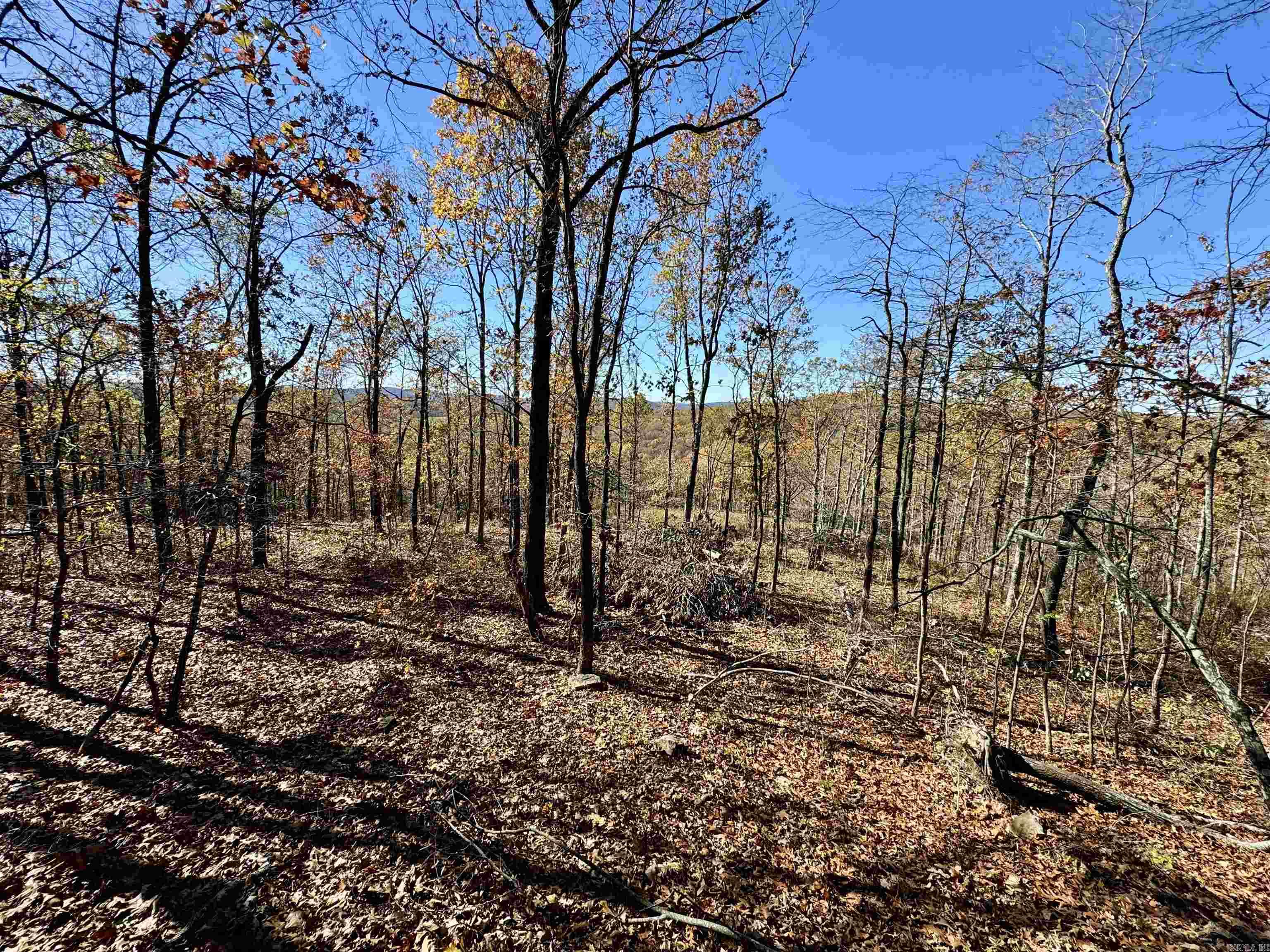 Metes & Bounds - Farm