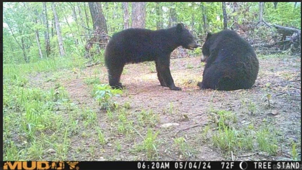 Metes & Bounds - Farm