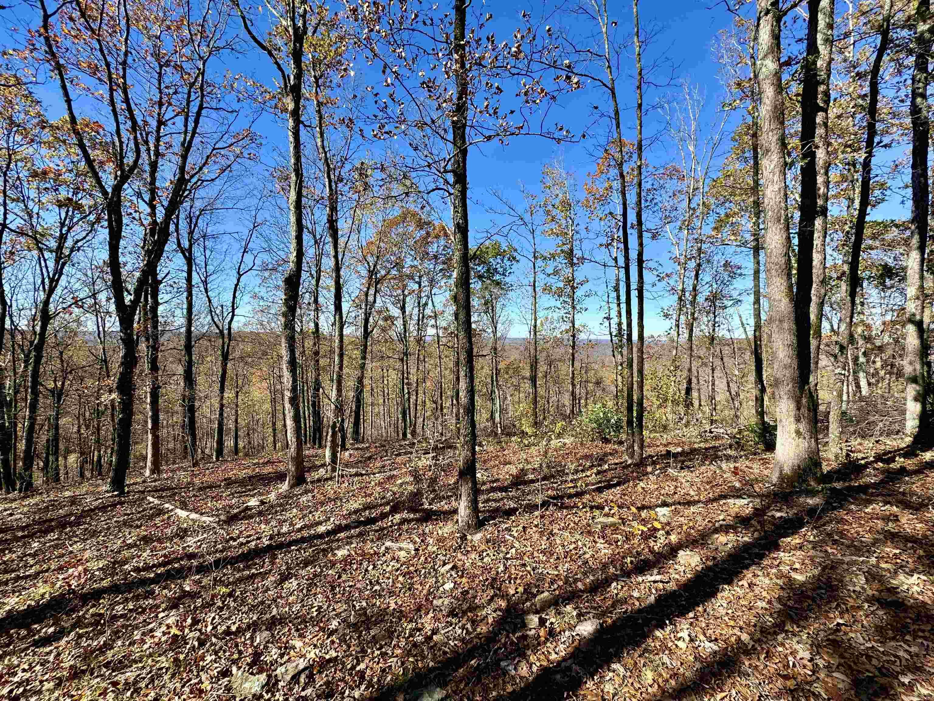 Metes & Bounds - Farm