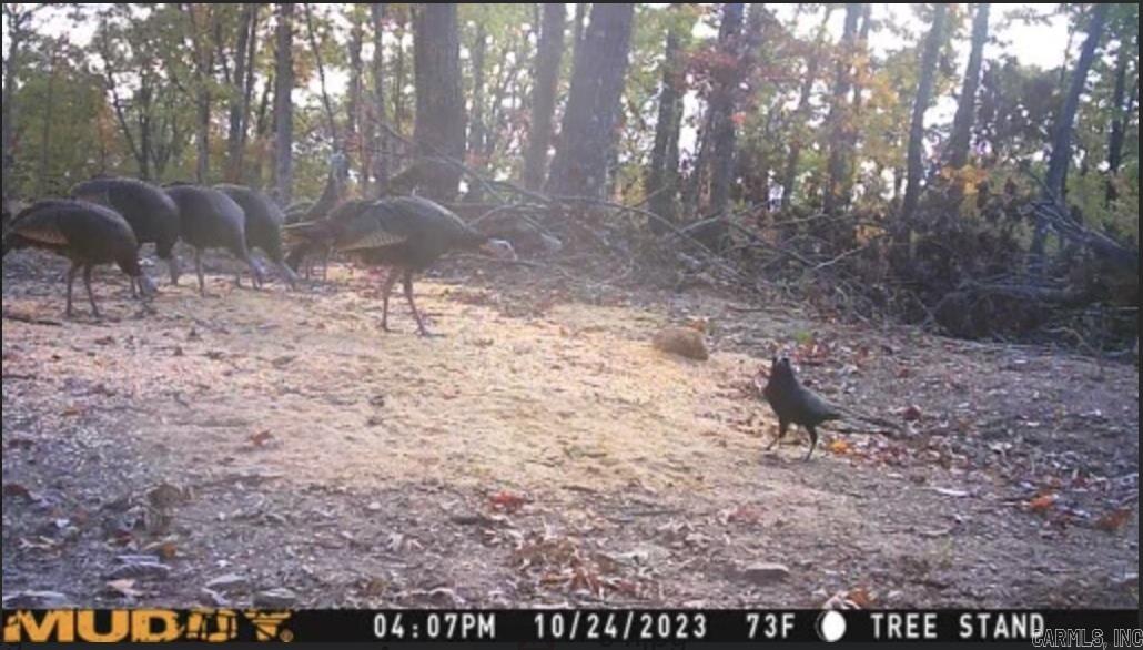 Metes & Bounds - Farm