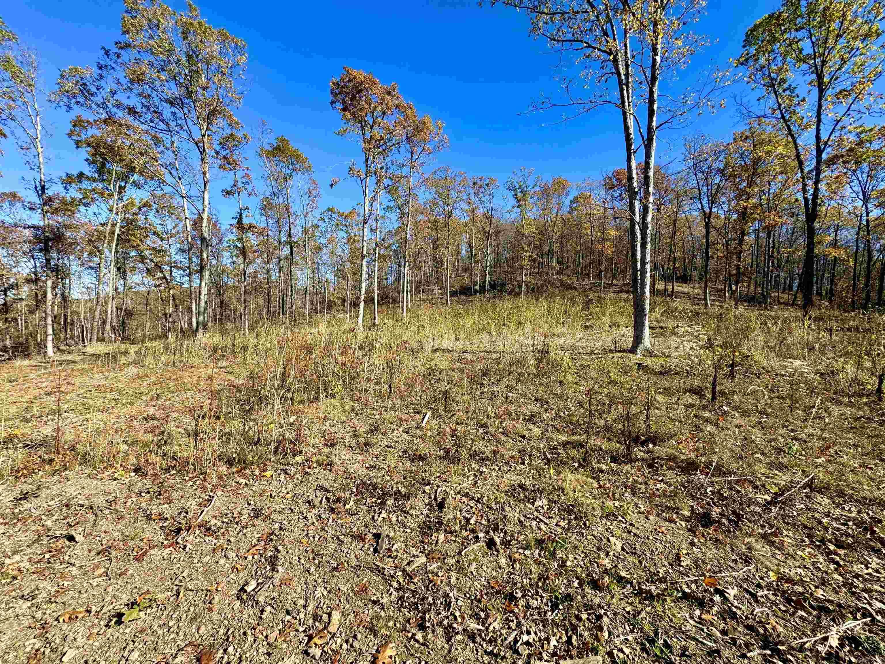 Metes & Bounds - Farm