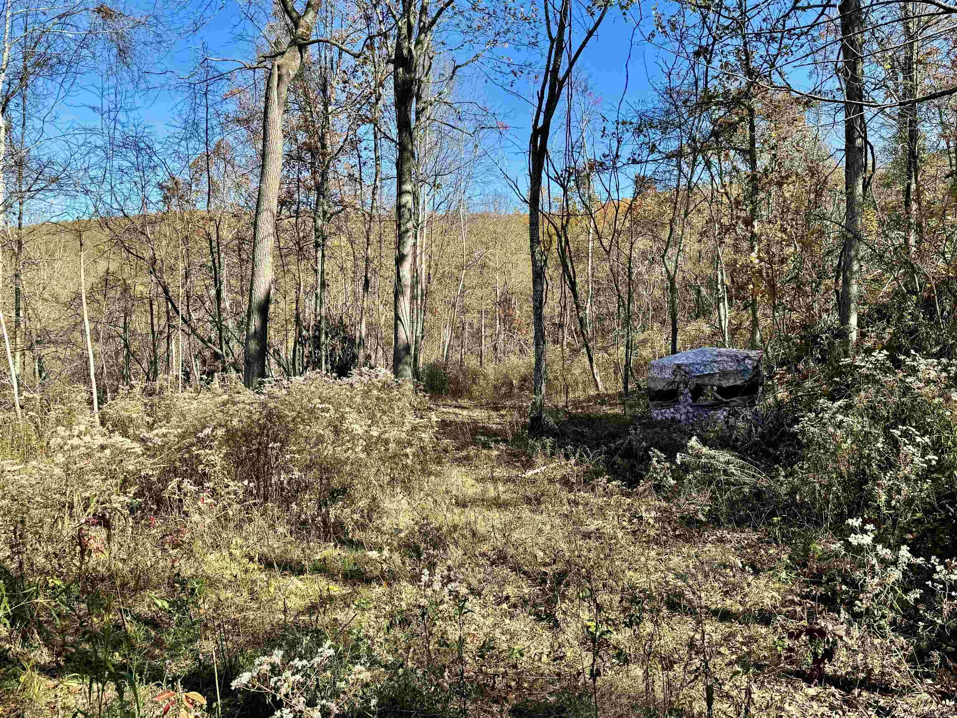 Metes & Bounds - Farm