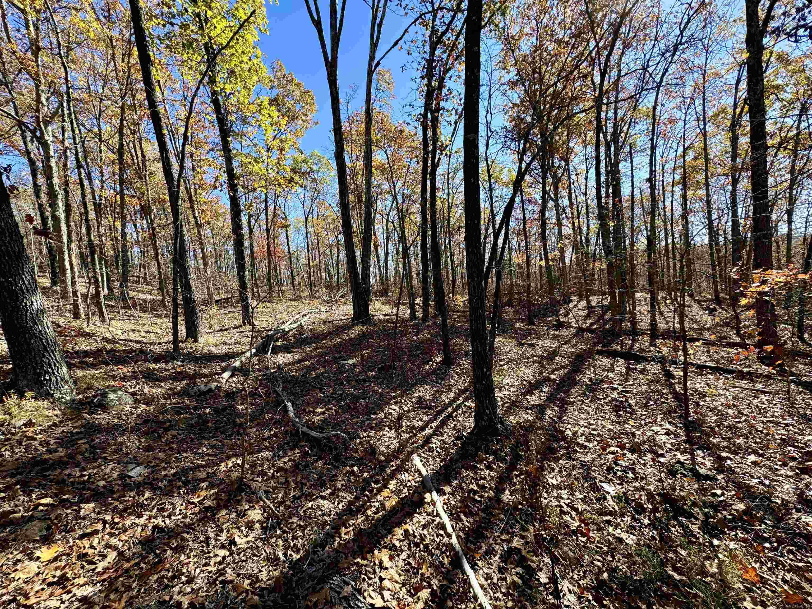 Metes & Bounds - Farm