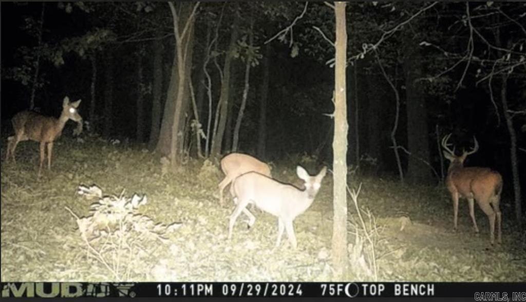 Metes & Bounds - Farm