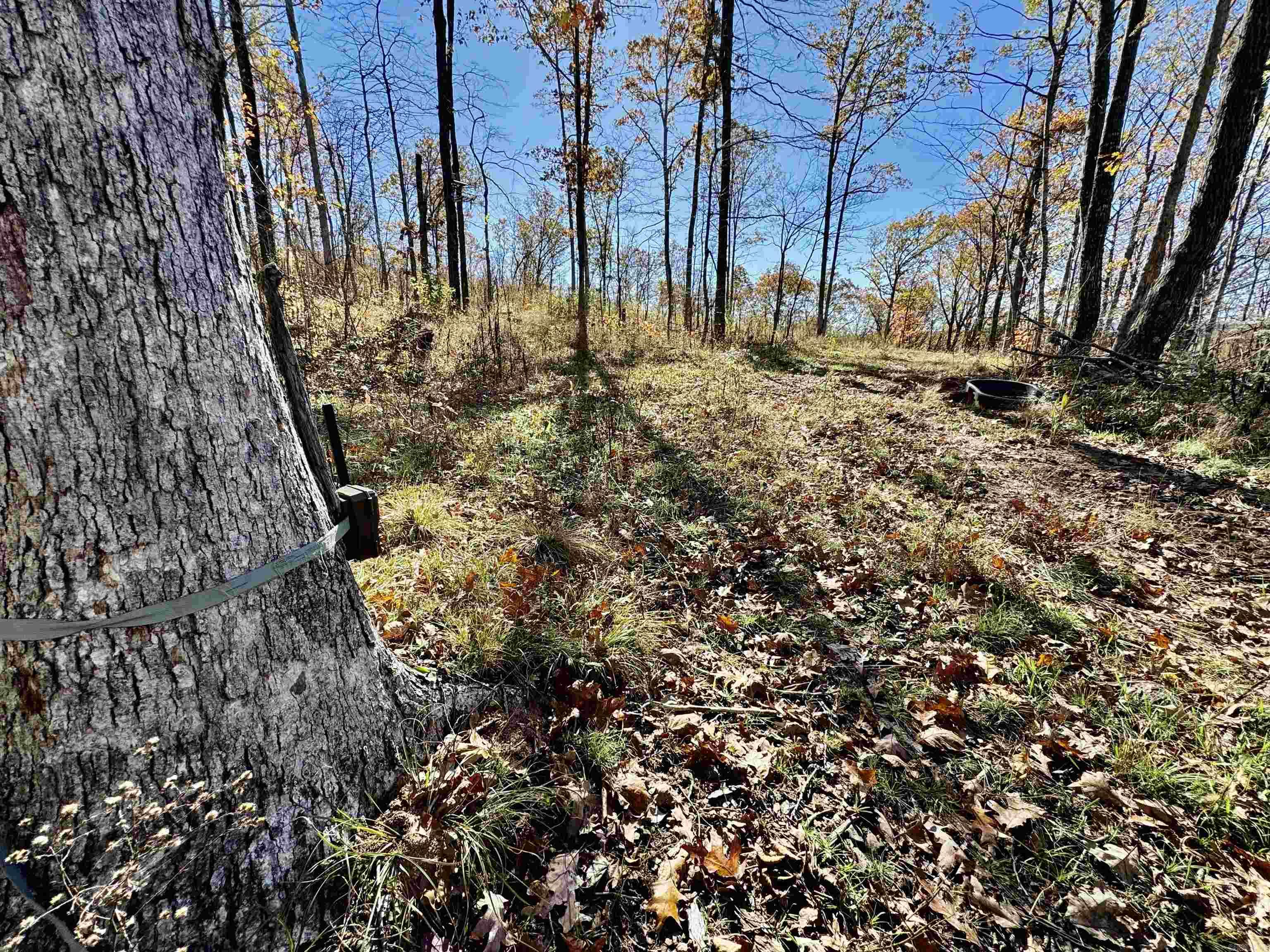 Metes & Bounds - Farm