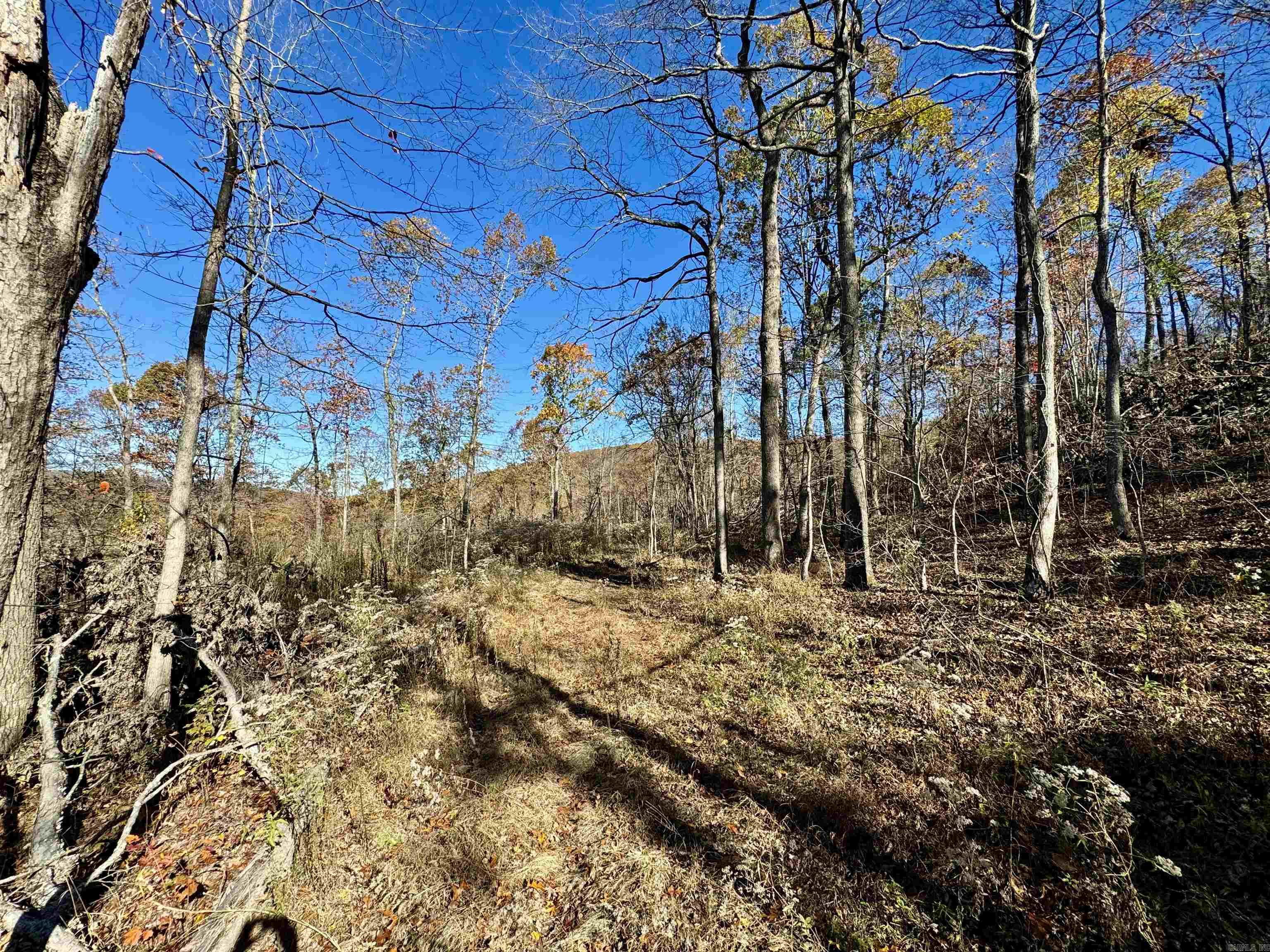 Metes & Bounds - Farm