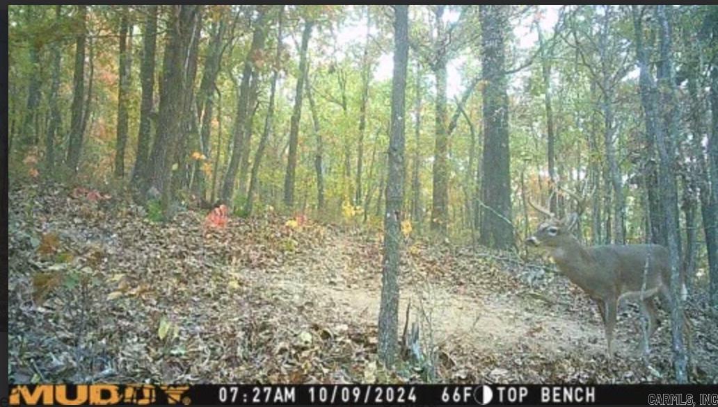 Metes & Bounds - Farm