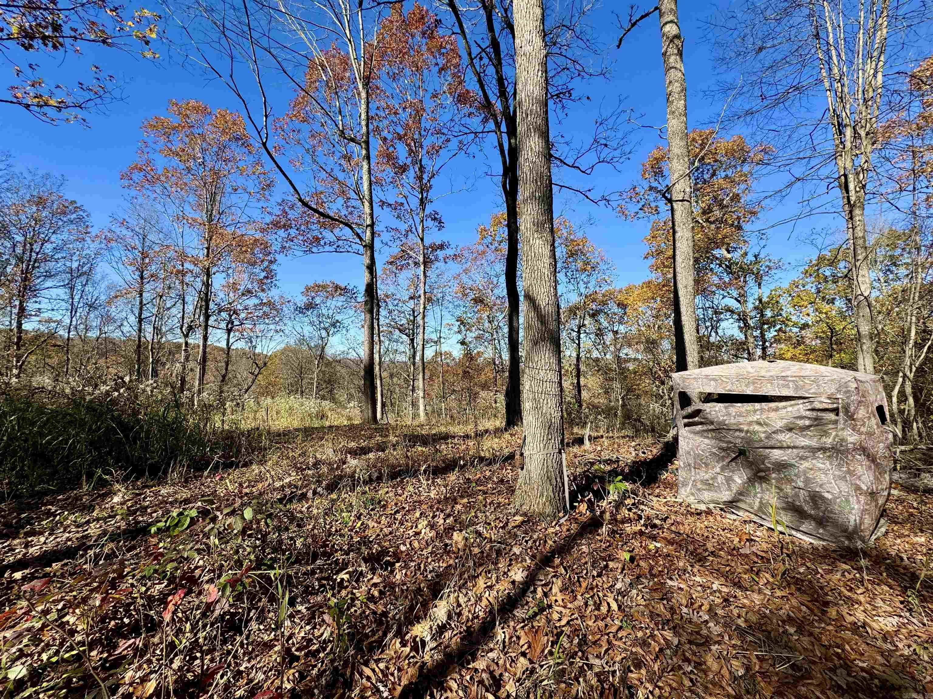 Metes & Bounds - Farm