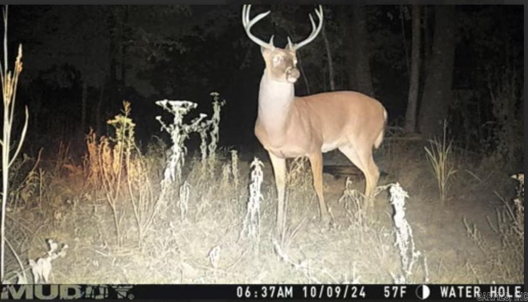 Metes & Bounds - Farm