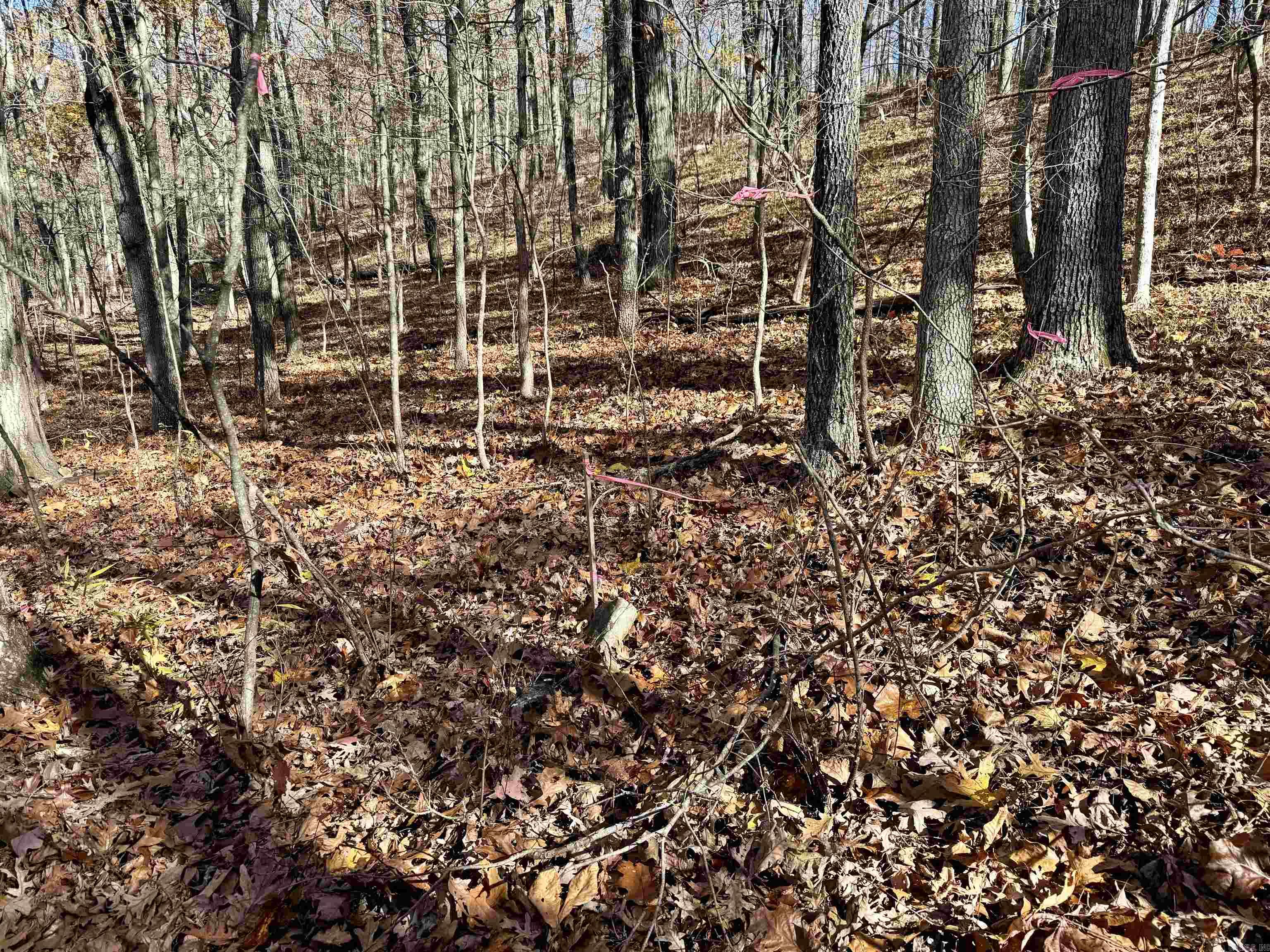 Metes & Bounds - Farm