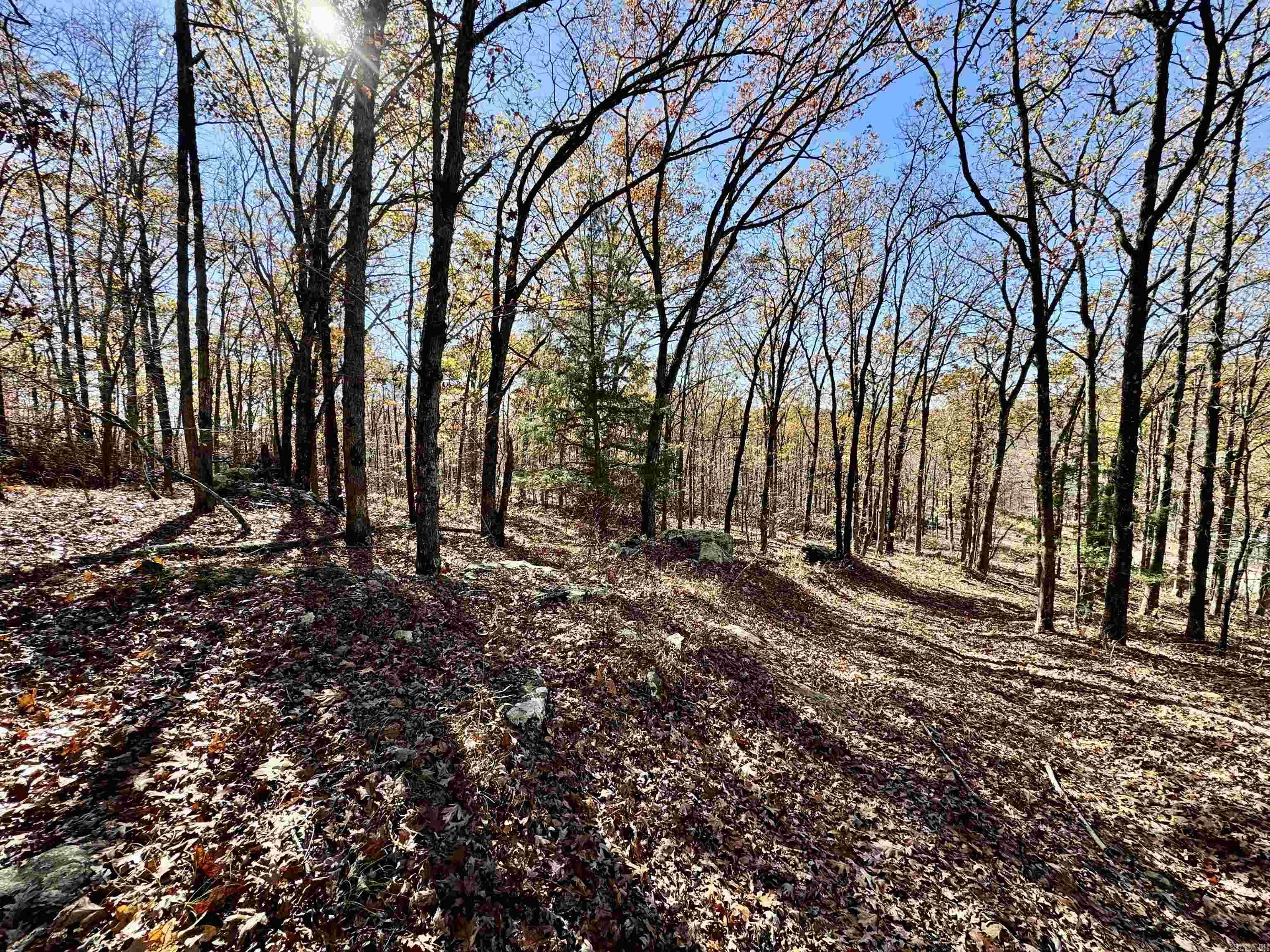 Metes & Bounds - Farm