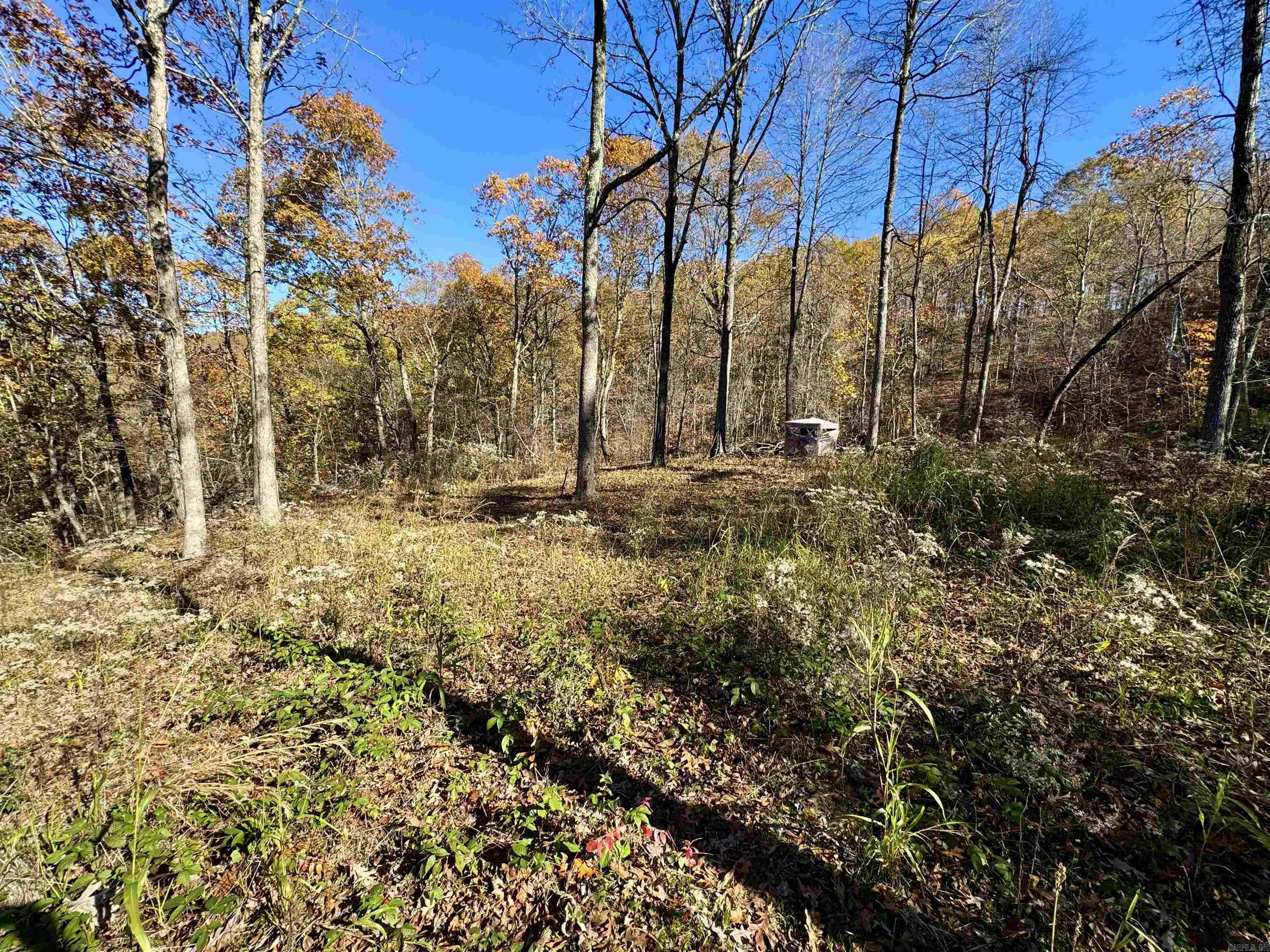 Metes & Bounds - Farm