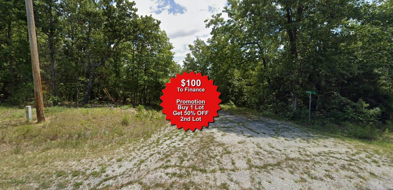 Buy one lot and get 50% off an additional lot! Owner-finance for easy terms. Cash buyers can pay by debit or credit card as well. Nice lot to develop or hold for future value. Public water and electric are available to run to property and will need septic. Owner/agent. No mobiles allowed. 1000 minimum build size on any other type of home, depending on subdivision. Finance is $100 down and 10 months at $99 and closing costs are included. Lots marked with red banner are part of promotion. No limit on lots. Buyer responsible for any/all taxes and lots sold "as-is". Quit claim deed conveys. Parcel ID# 360-19930-000
