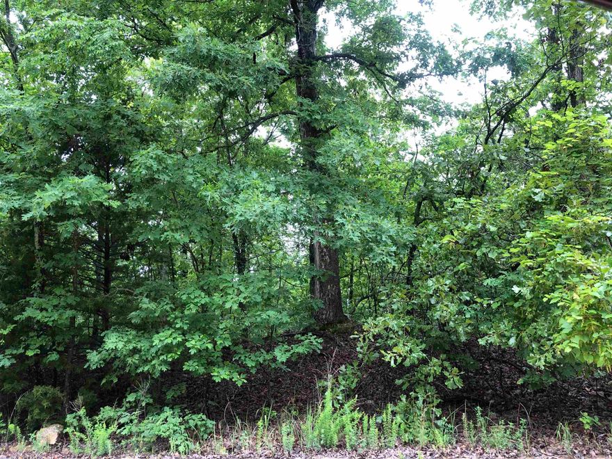 Wooded lot in beautiful Cherokee Village.