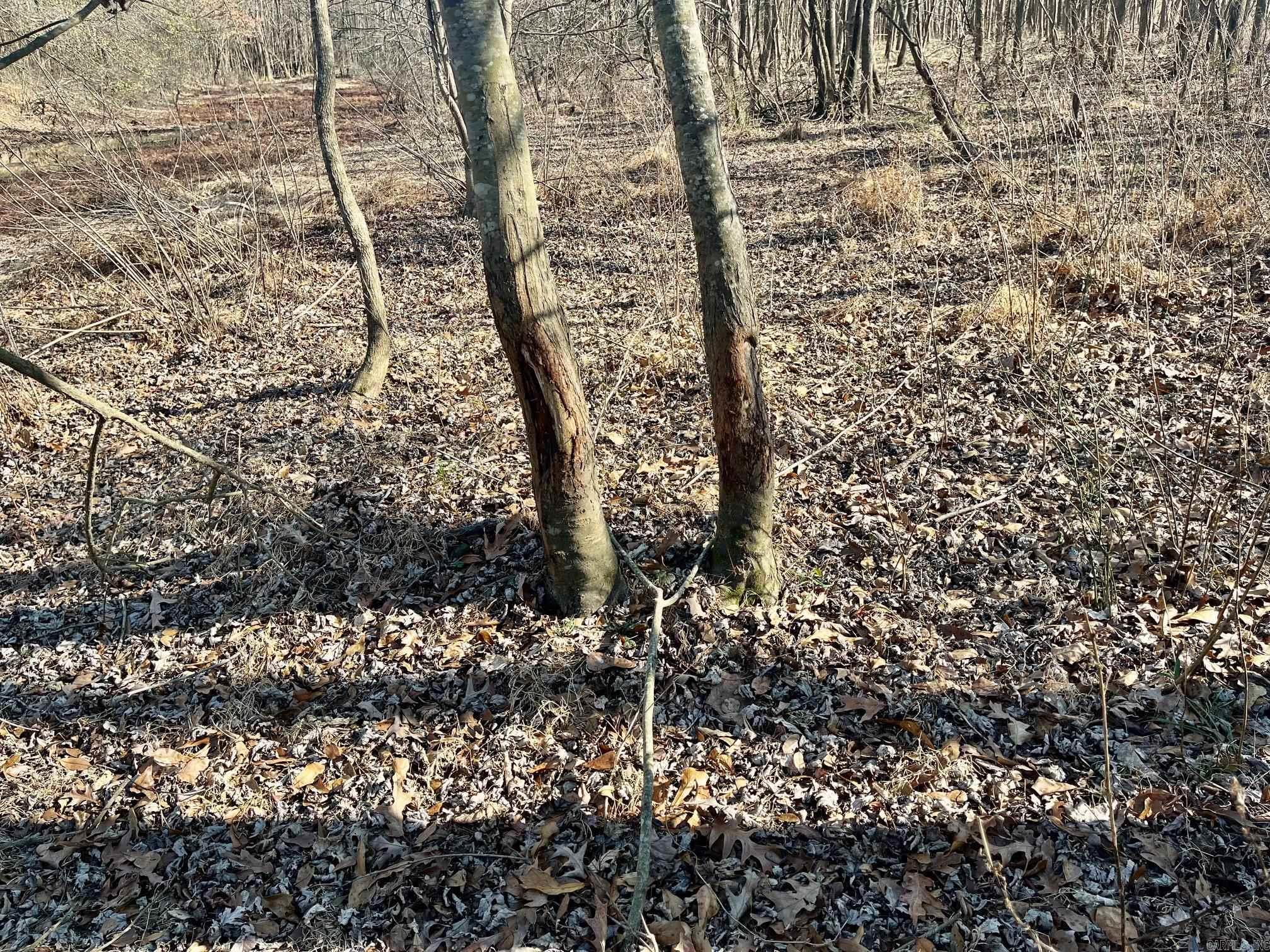 Metes & Bounds - Farm