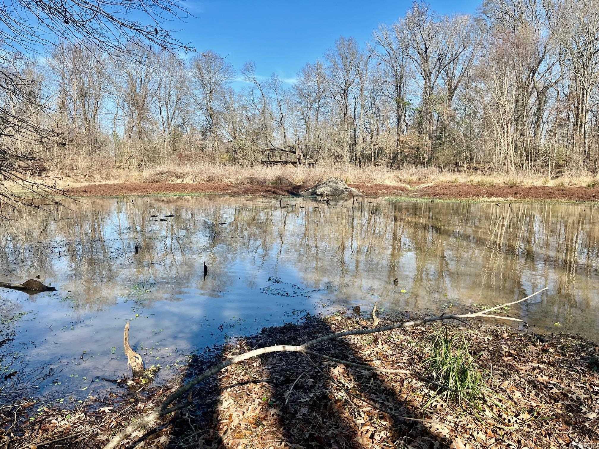 Metes & Bounds - Farm