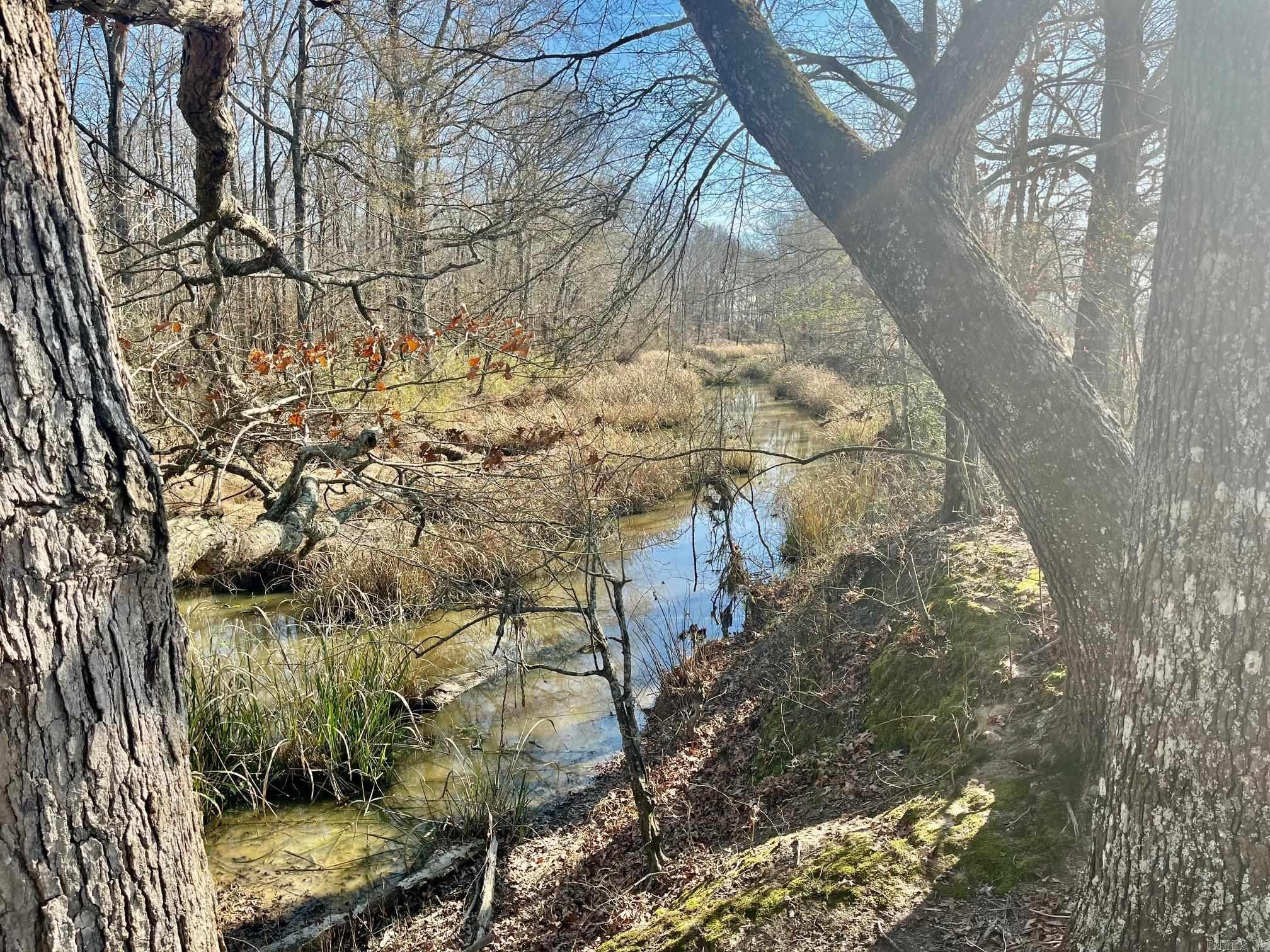 Metes & Bounds - Farm