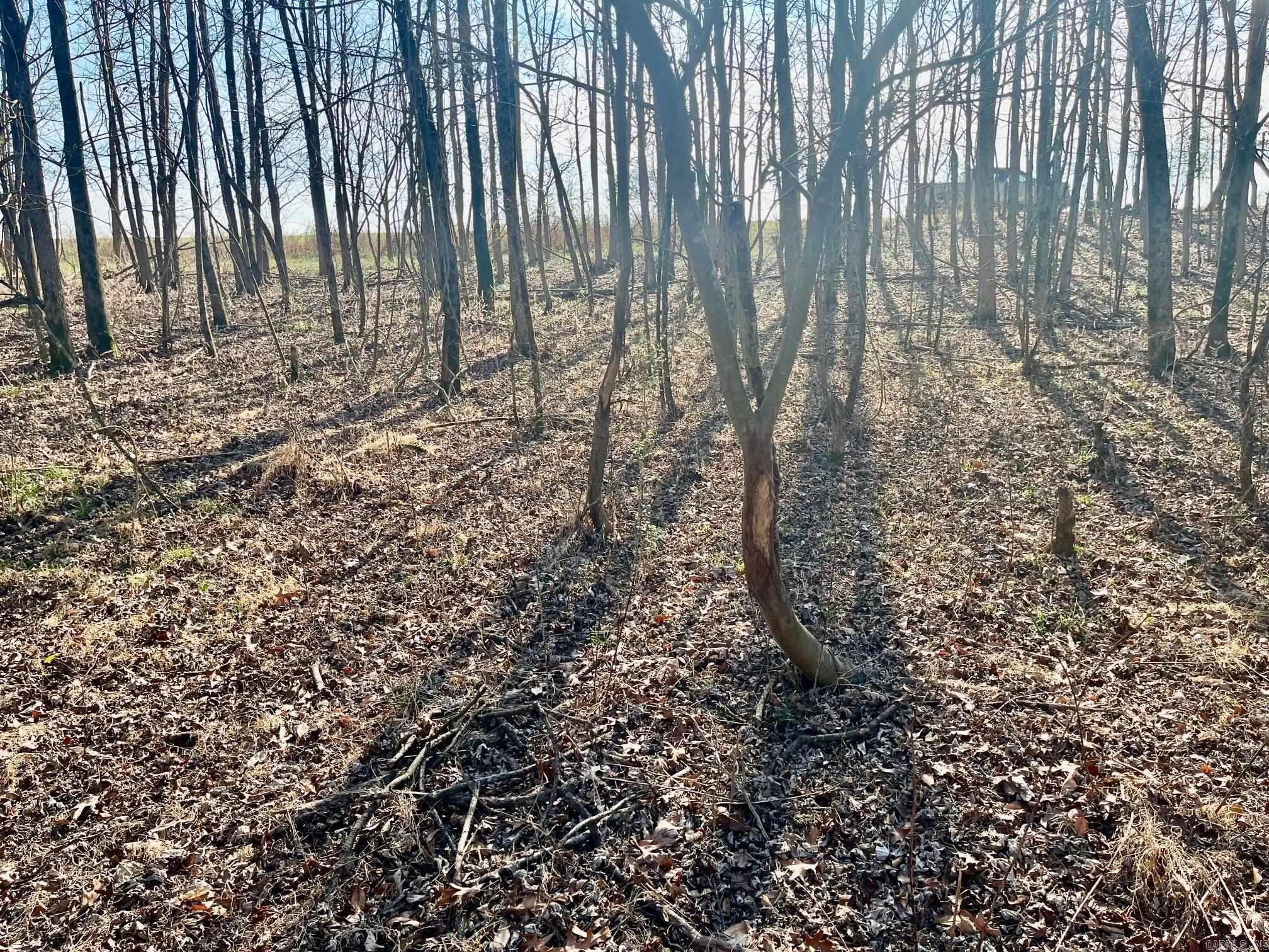 Metes & Bounds - Farm