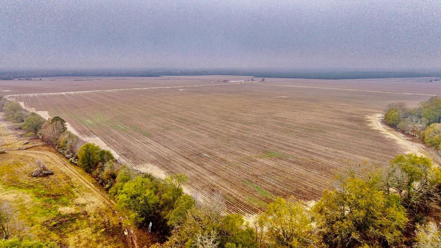 Rare chance to own row crop farm land in Hot Spring County.  Ouachita River frontage with irrigation for the entire property out of the river.  Small acreage of timber and sloughs set up for great whitetail and water fowl hunting opportunities. Call me today for more details on this property.