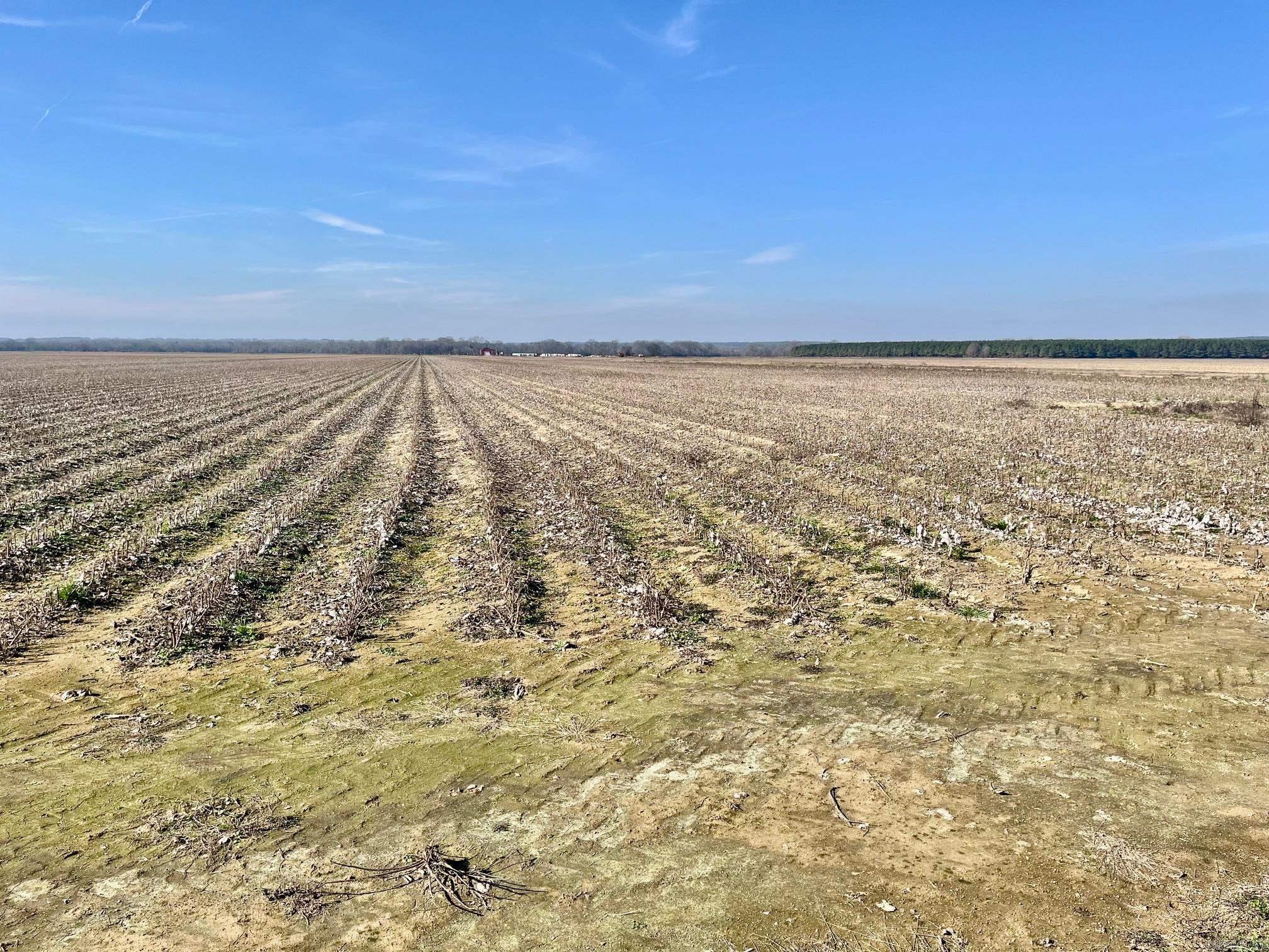 Metes & Bounds - Farm