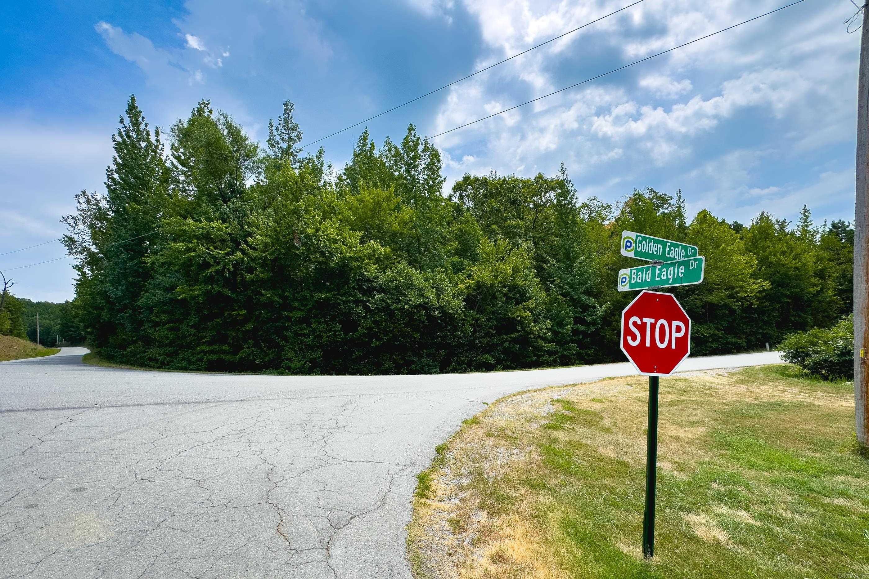 Eagle Ridge Estates - Land