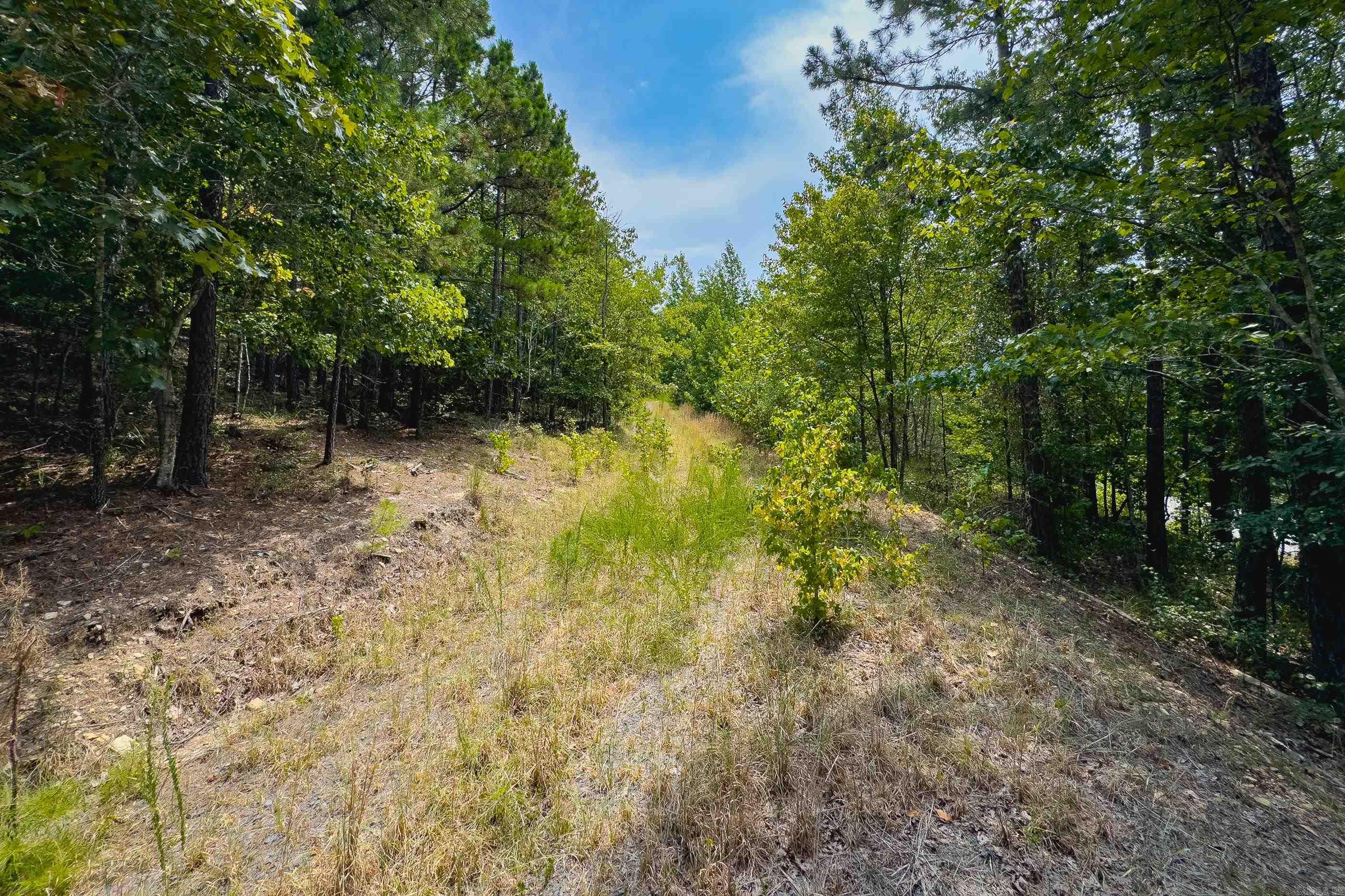 Eagle Ridge Estates - Land